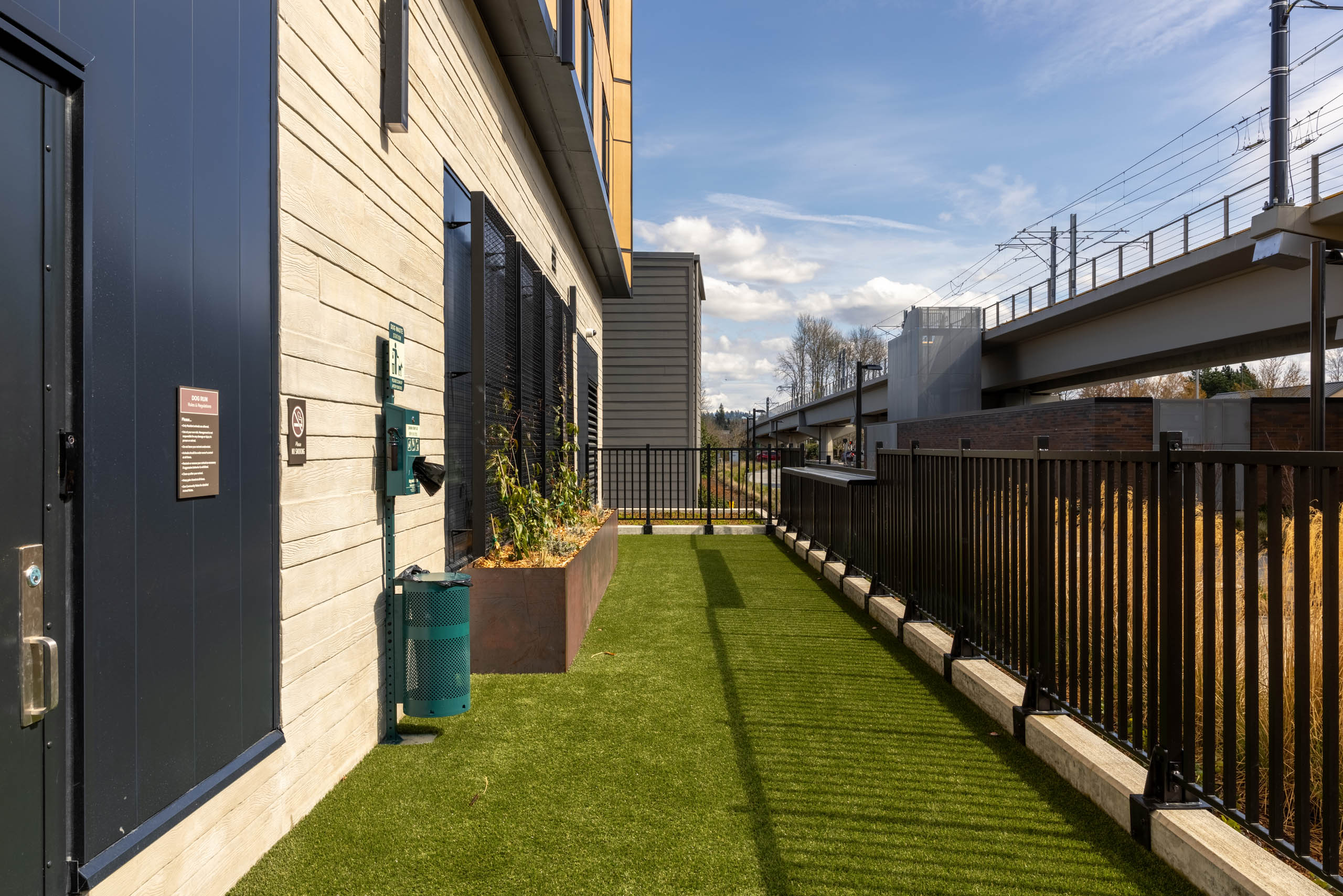 Turfed dog run on the exterior of the building with plants and a black fence.