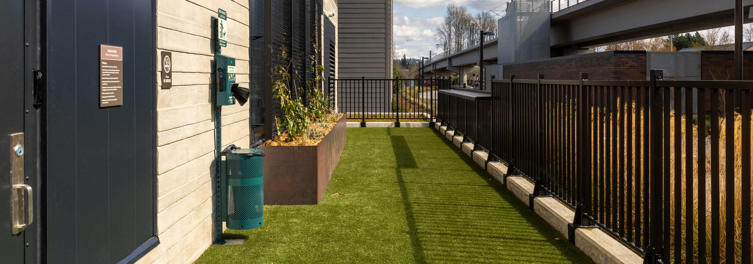 Turfed dog run on the exterior of the building with plants and a black fence.