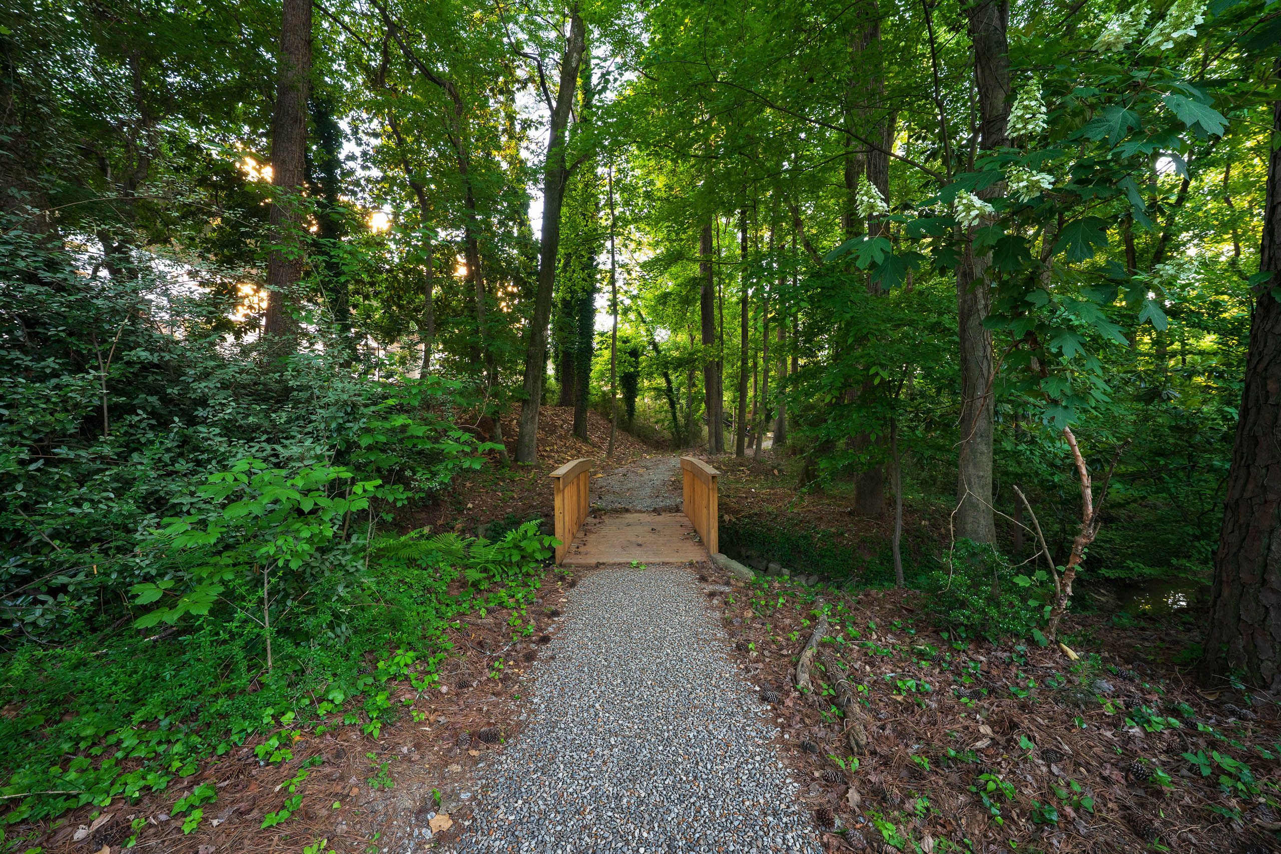 Gravel path through a forest leading over a wooden footbridge surrounded by lush greenery.