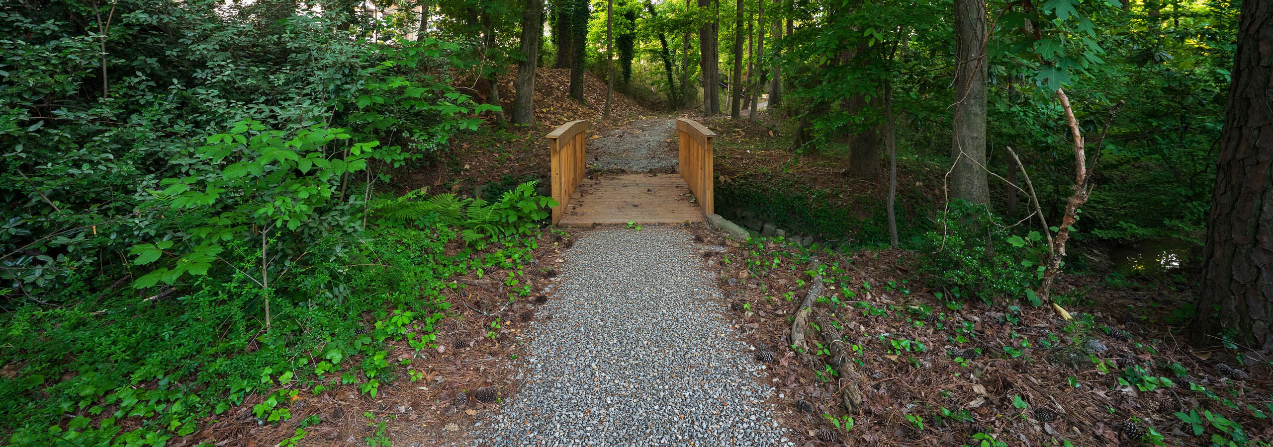 Gravel path through a forest leading over a wooden footbridge surrounded by lush greenery.