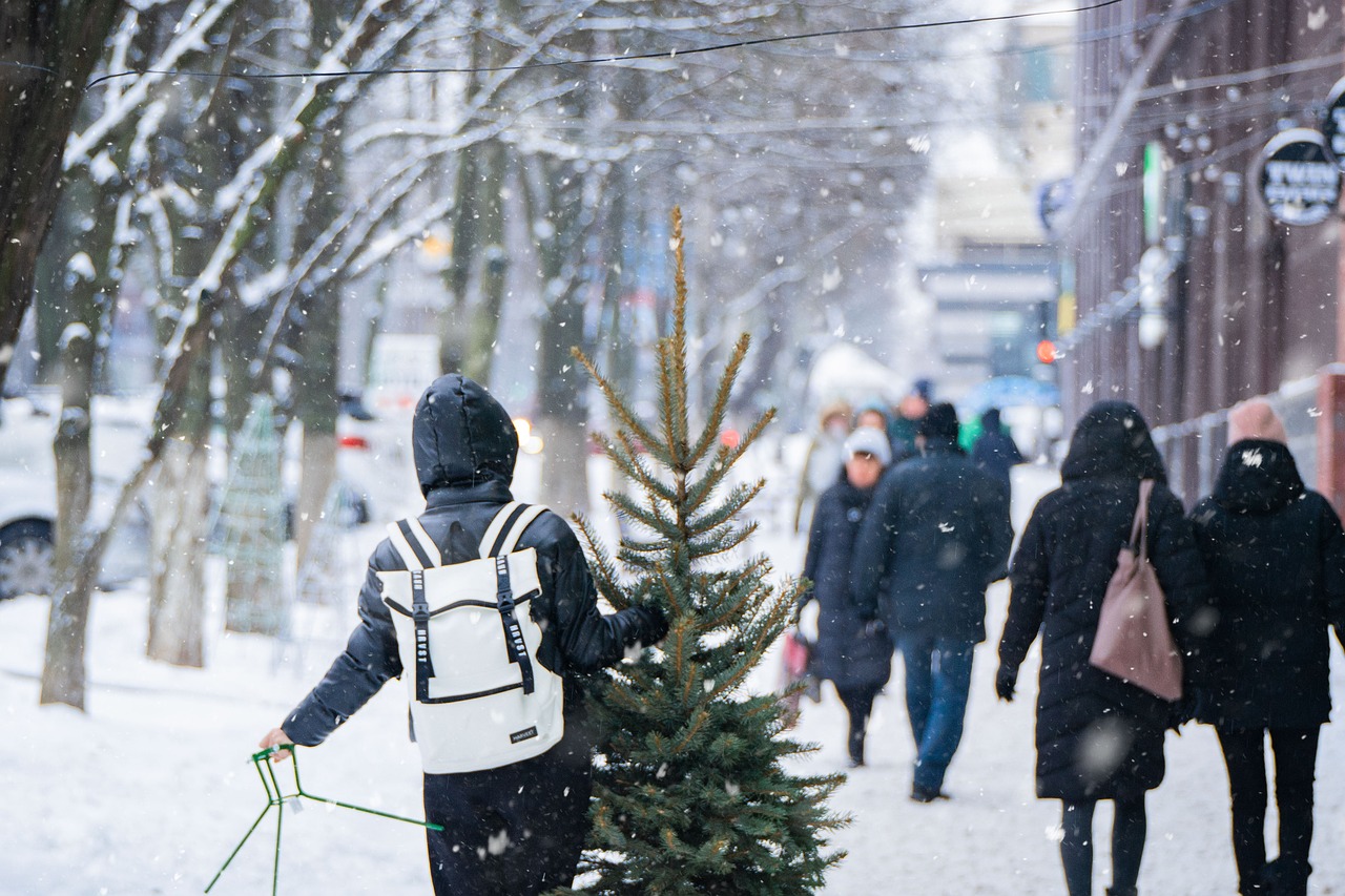Cutting Your Own Christmas Tree in Washington's National Forests