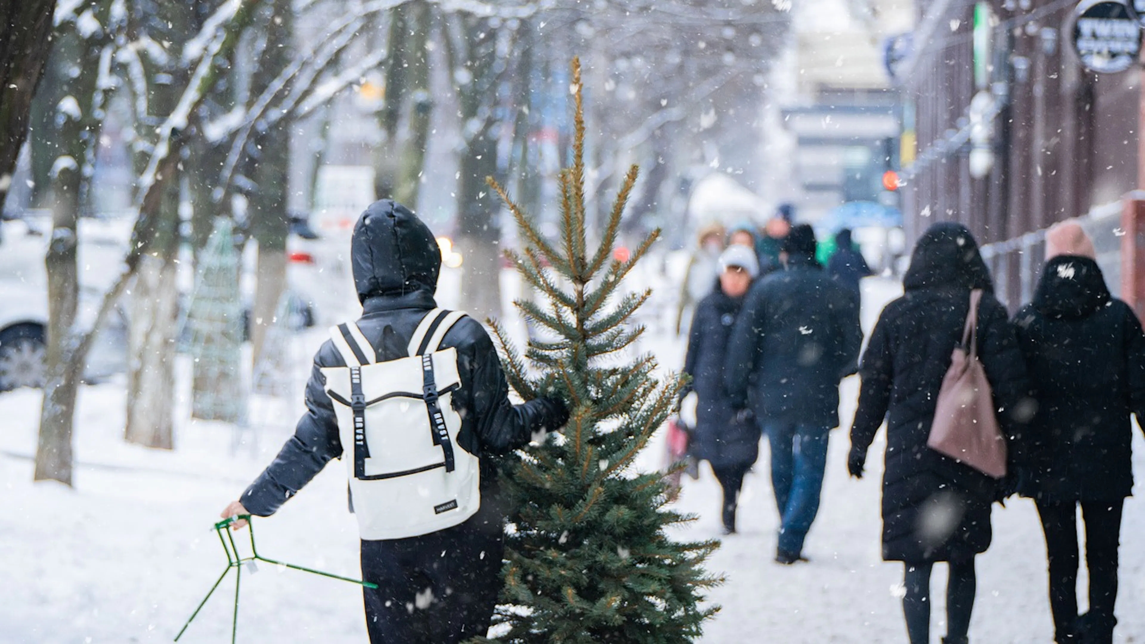 A person walking down a busy city street in the snow holding a freshly cut Christmas Tree in one hand