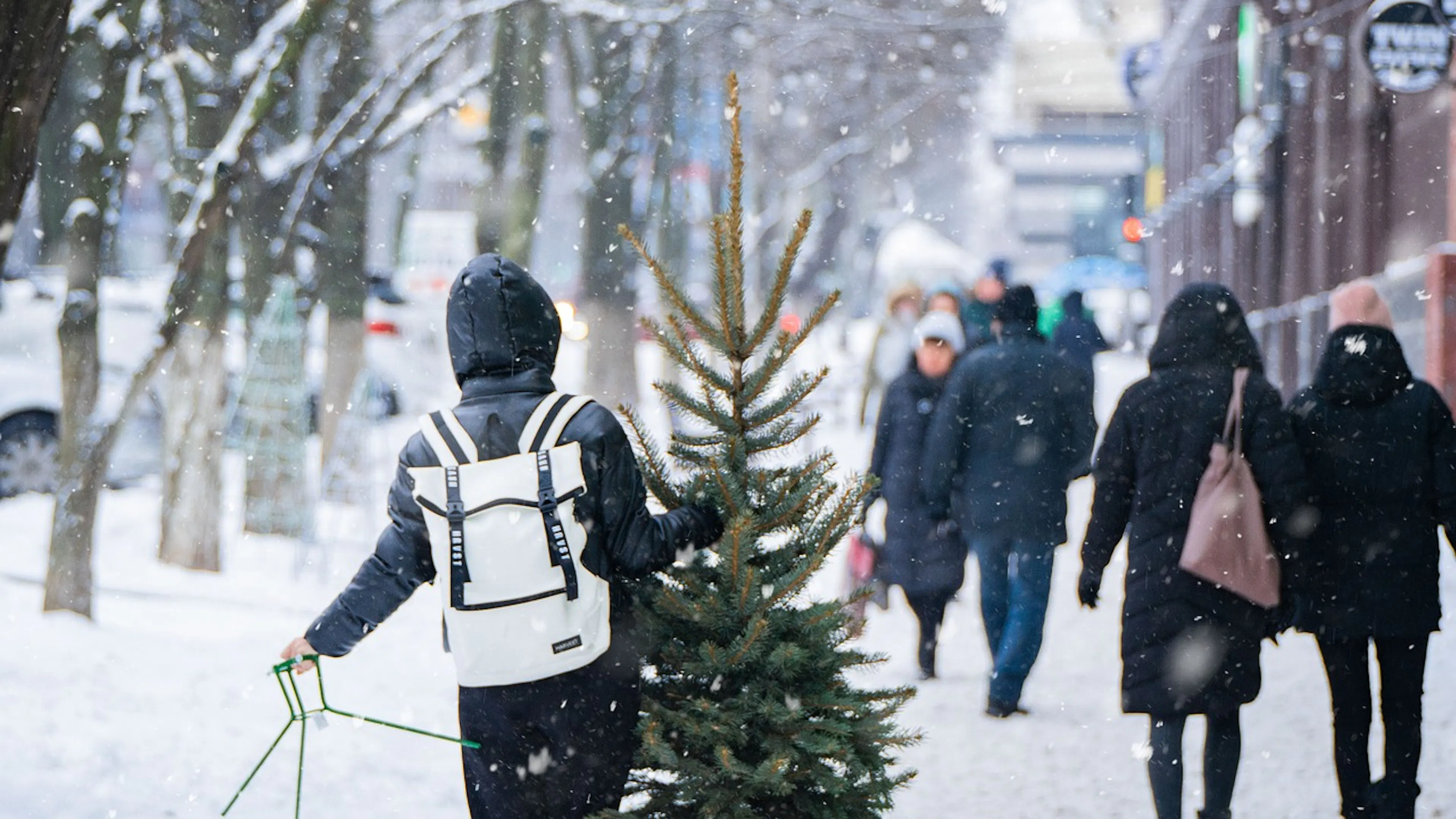 A person walking down a busy city street in the snow holding a freshly cut Christmas Tree in one hand