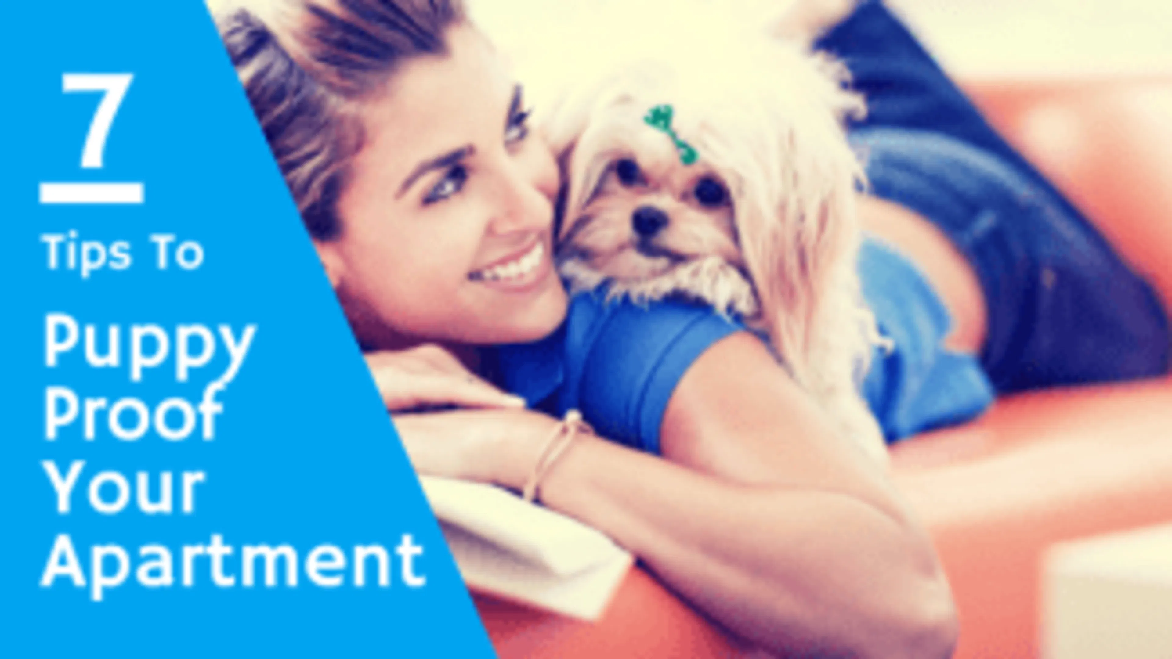 Seven Tips to Puppy Proof Your Apartment