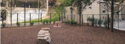 Exterior of fenced in paw park at AMLI Arts Center with wide open space for playing and a view of green shrubbery and trees