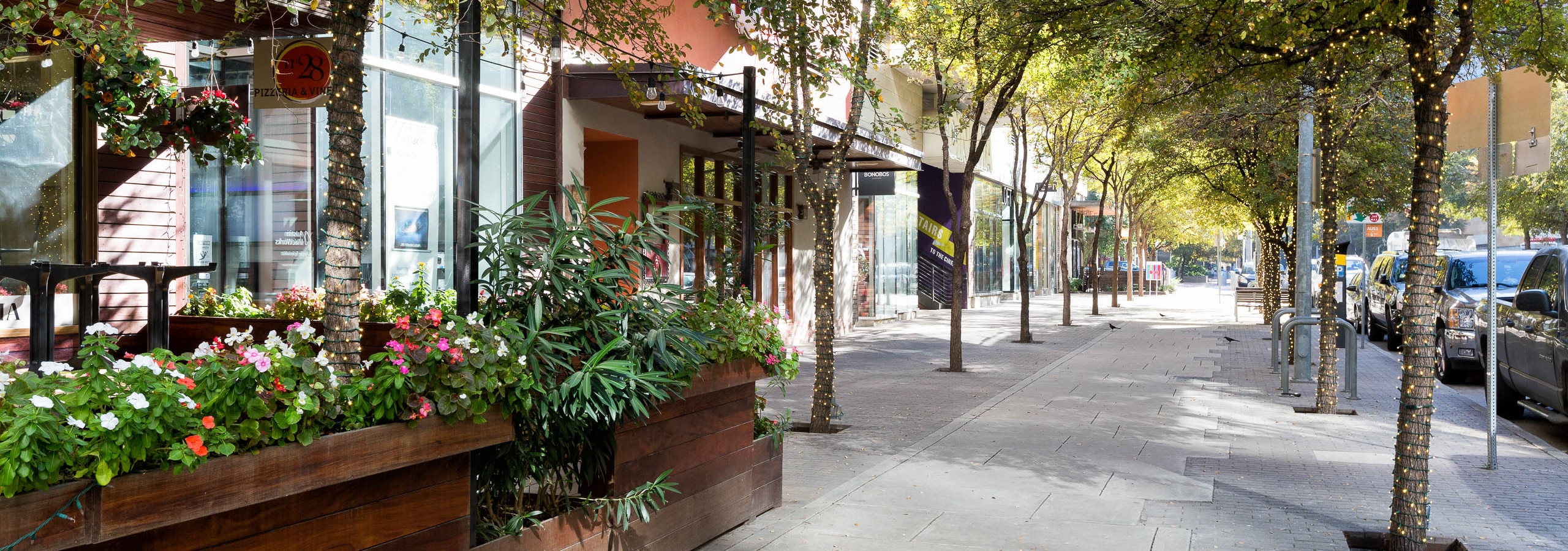 Exterior daytime view of 2nd street district storefronts with sidewalk lined with vibrant trees and raised potted flowers
