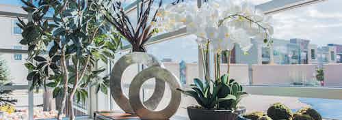 A resident lounge at AMLI Arista apartments showcasing a close up view of a metal circular sculpture and a variety of plants