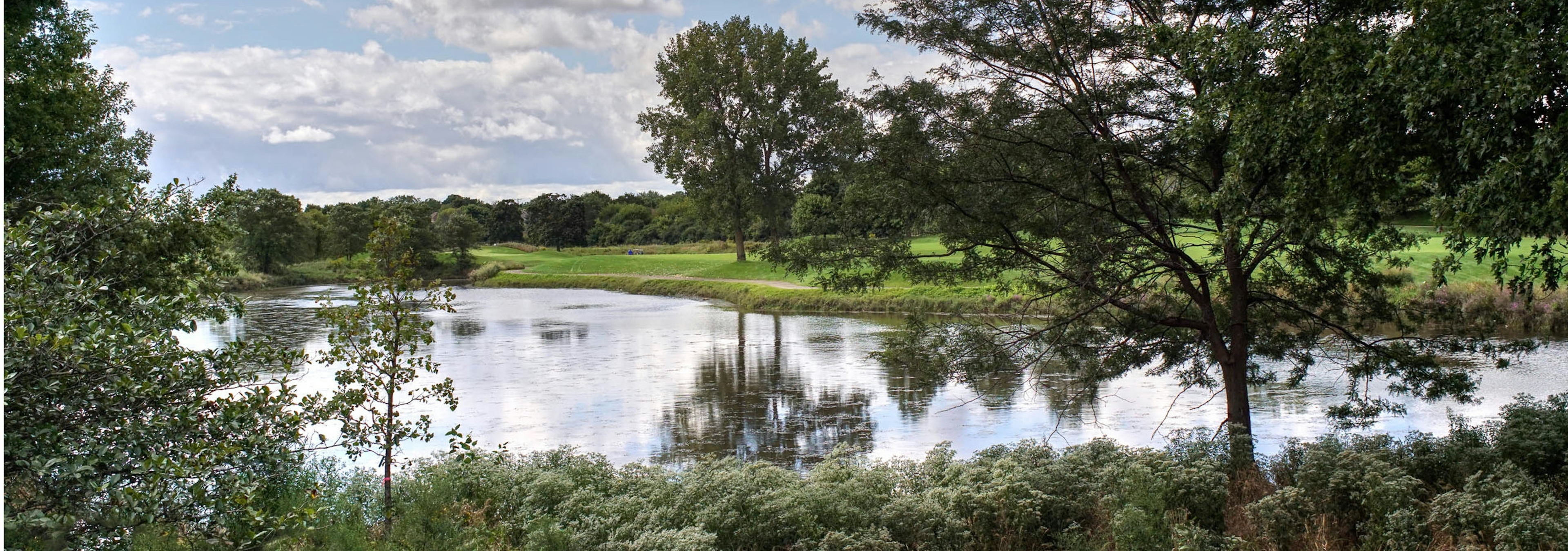 View of a gorgeous lake with the daytime sky reflecting on the water and thriving bright trees and grass all around