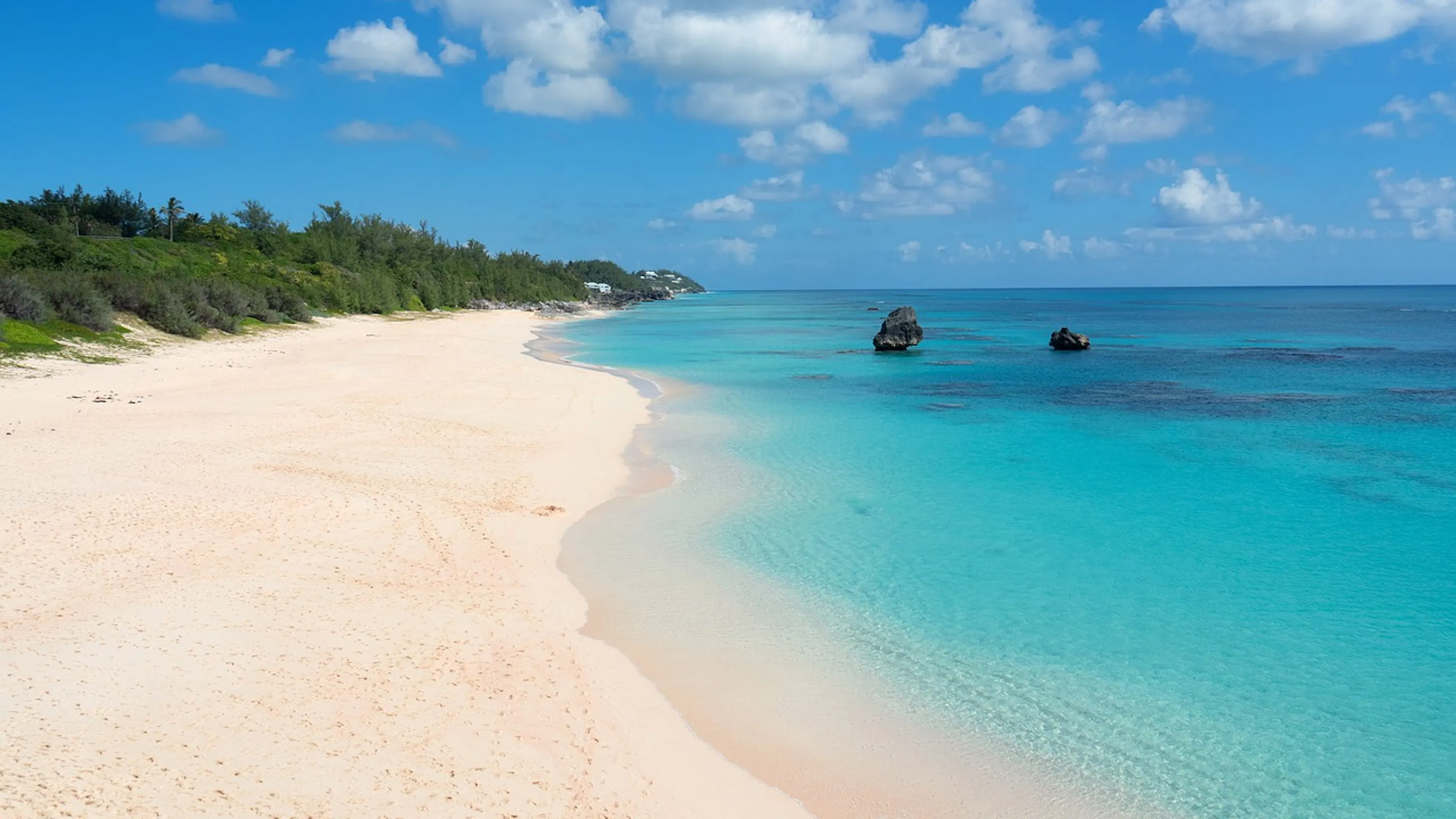 A tropical white sand beach with greenery growing down towards a stunningly blue ocean on a lovely day