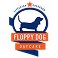 https://images.prismic.io/amli-website/b6ef130559f1480946da9c71542b62535319d876_littletonvillage_perks_floppy-dog-daycare.jpg?auto=compress,format