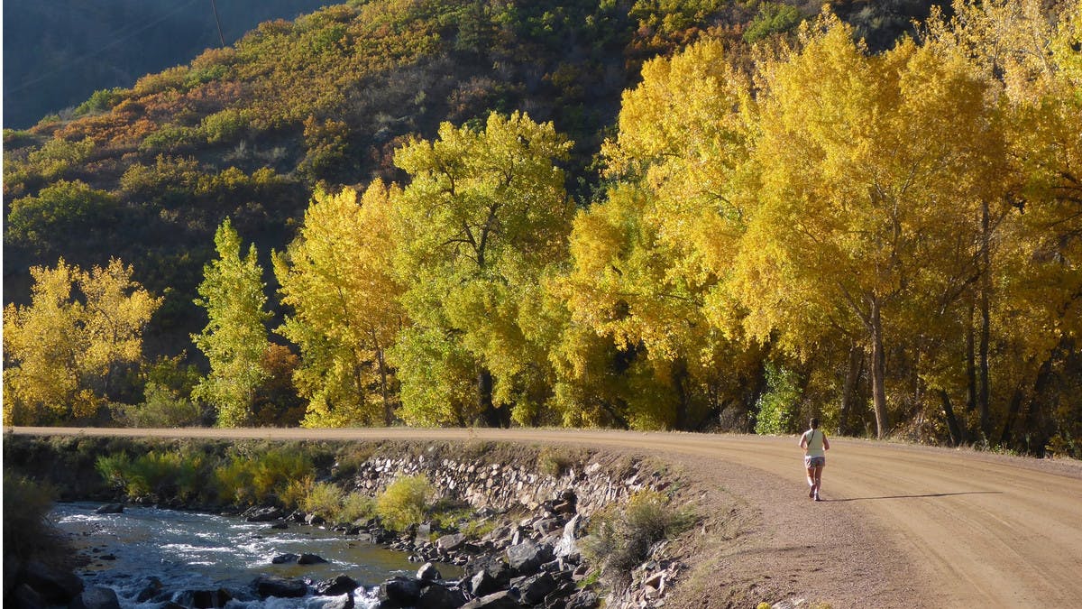 An individual jogging down a dirt path next to a big river with rocks and bushes as well as several trees with yellow leaves