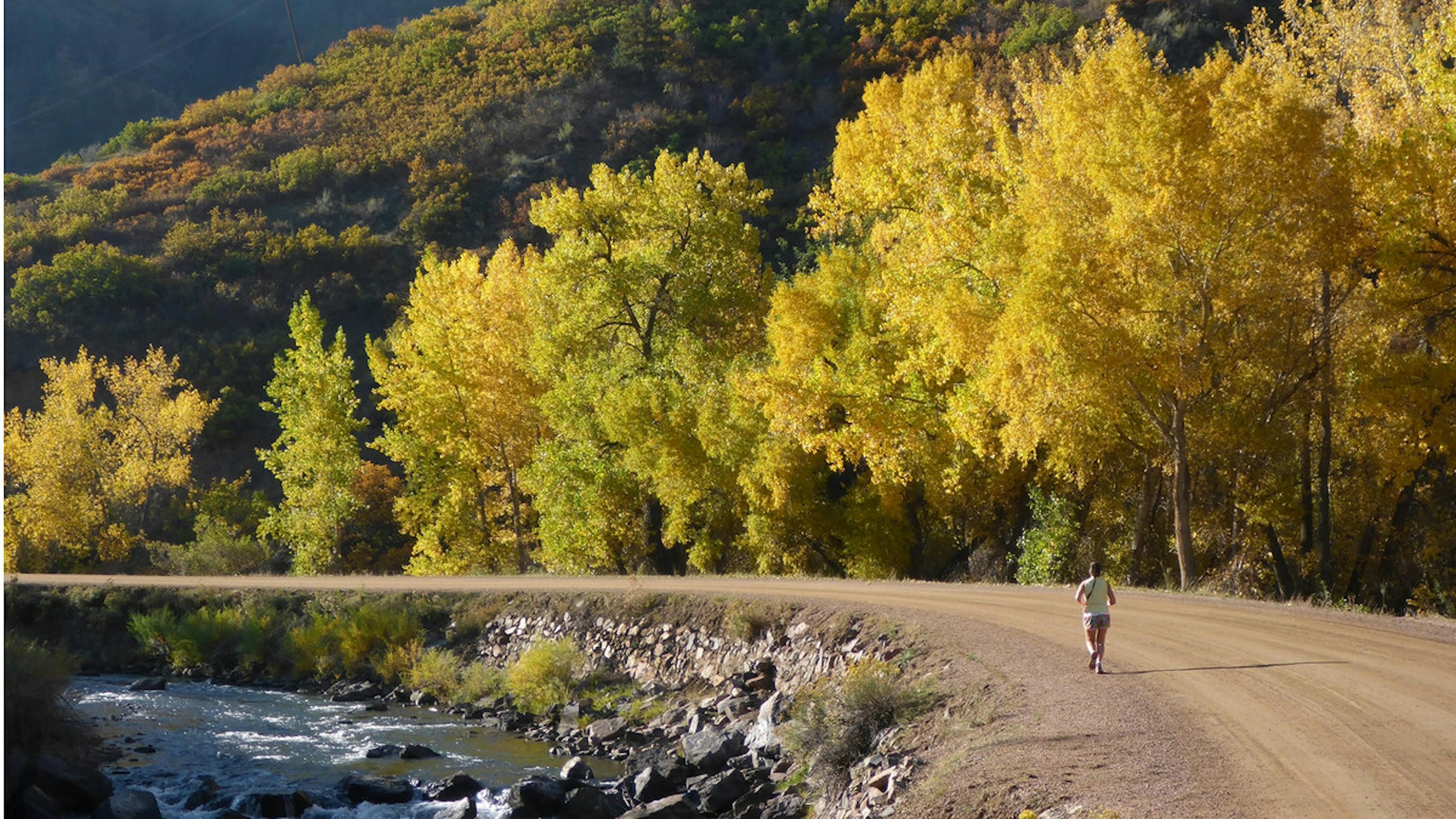 An individual jogging down a dirt path next to a big river with rocks and bushes as well as several trees with yellow leaves