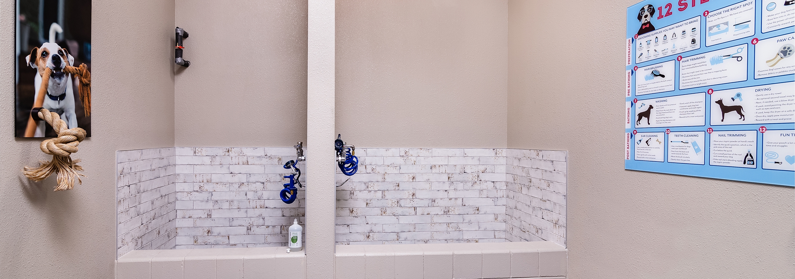 AMLI Littleton Village apartment pet spa with tile surround washing stations and custom pet portrait with rope knot design