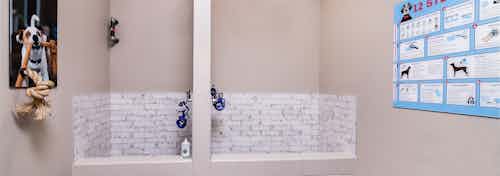 AMLI Littleton Village apartment pet spa with tile surround washing stations and custom pet portrait with rope knot design
