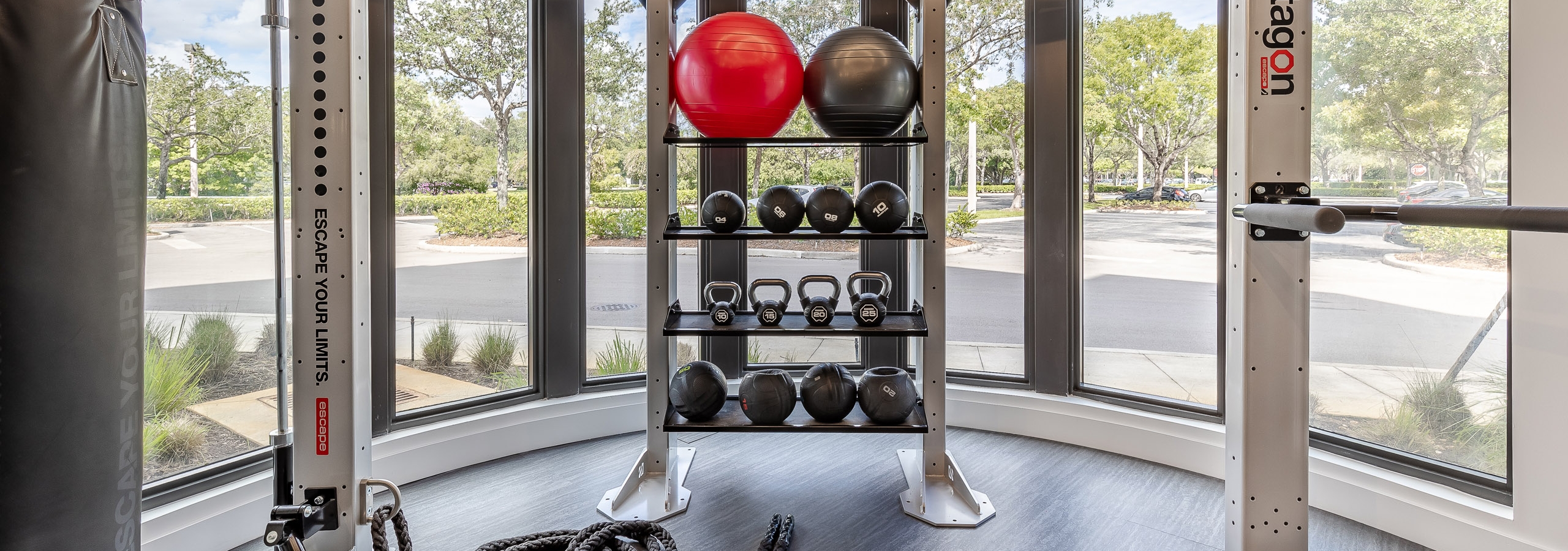 AMLI Park West apartment fitness zone with exercise equipment gym rack with medicine balls and punching bag and window view