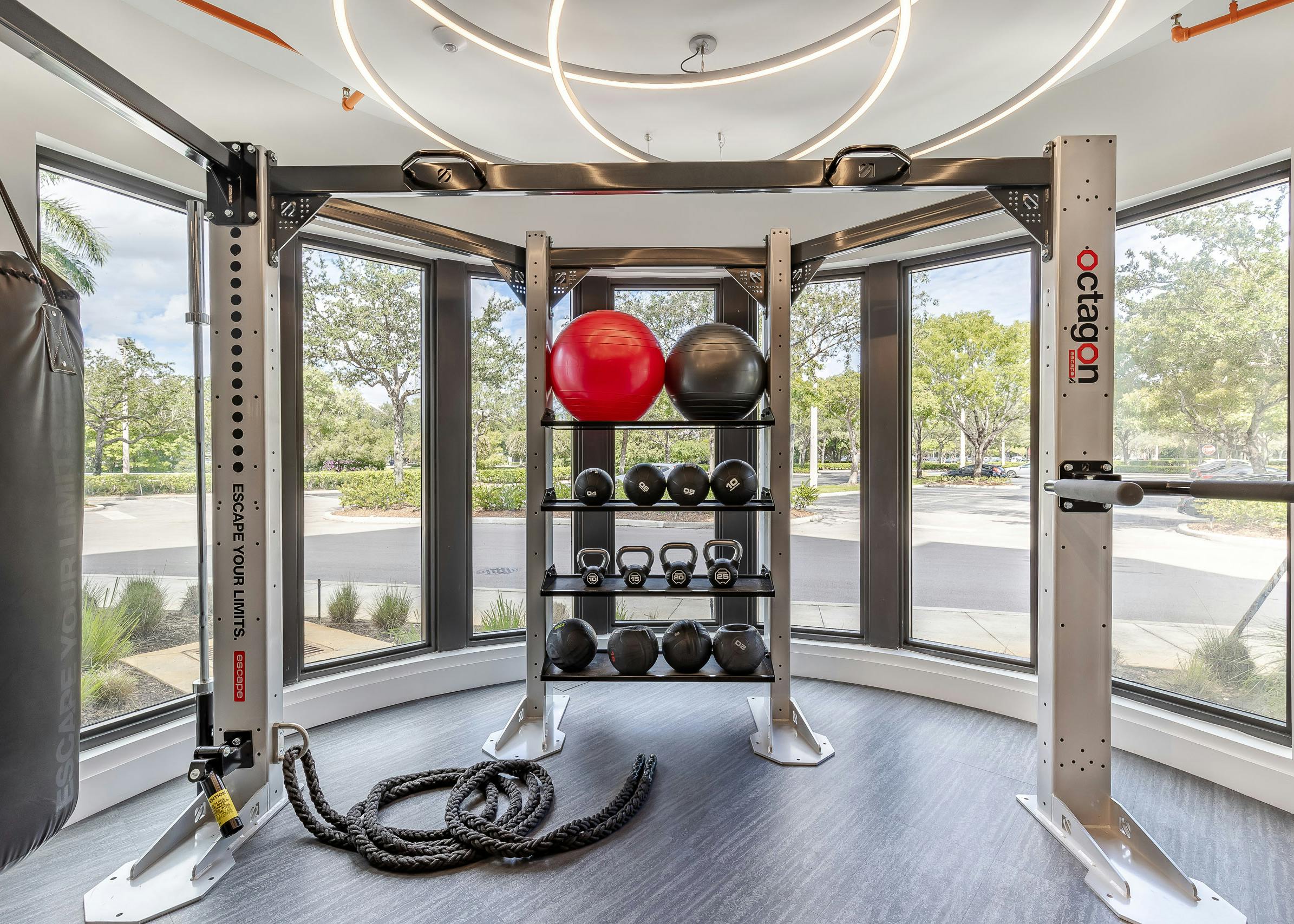AMLI Park West apartment fitness zone with exercise equipment gym rack with medicine balls and punching bag and window view