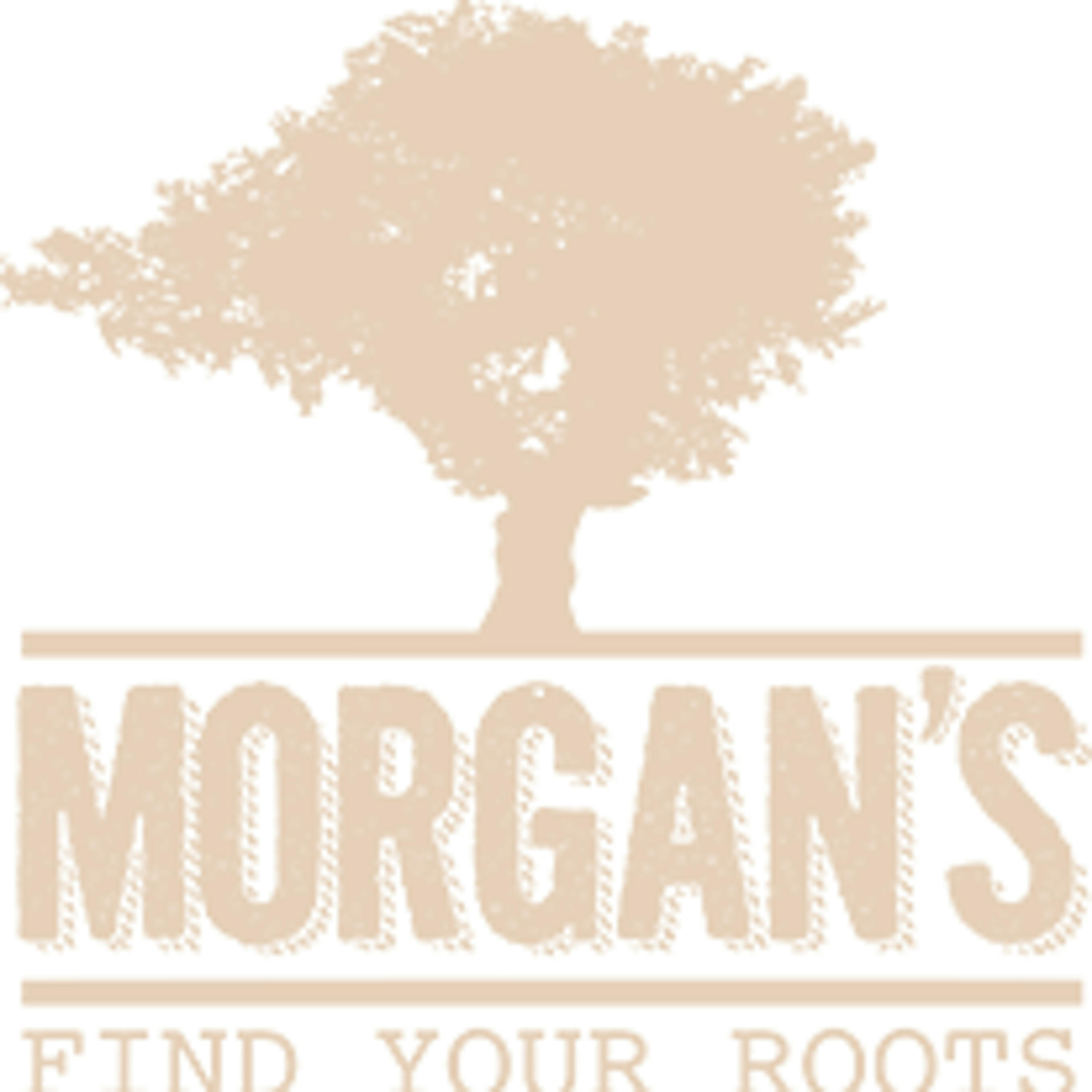 Morgans