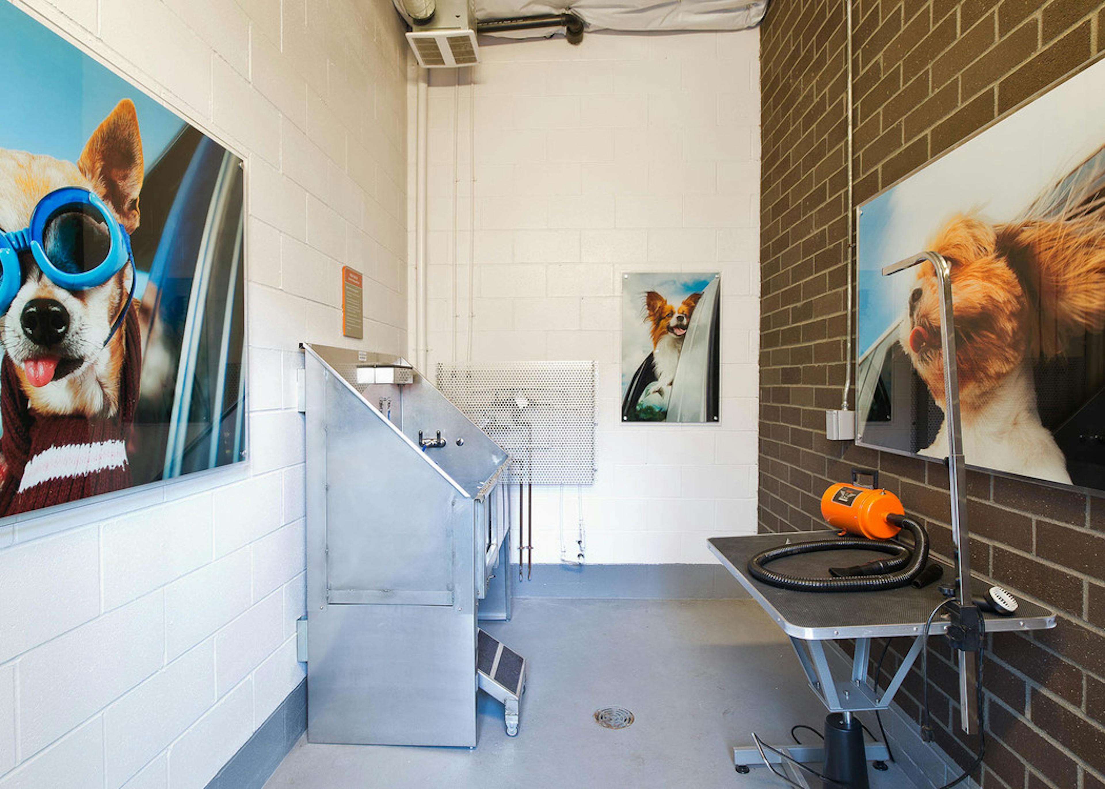 Interior of the Pet Wash at AMLI South Lake Union with a tub shower dryer lockers and fun dog art on the walls 