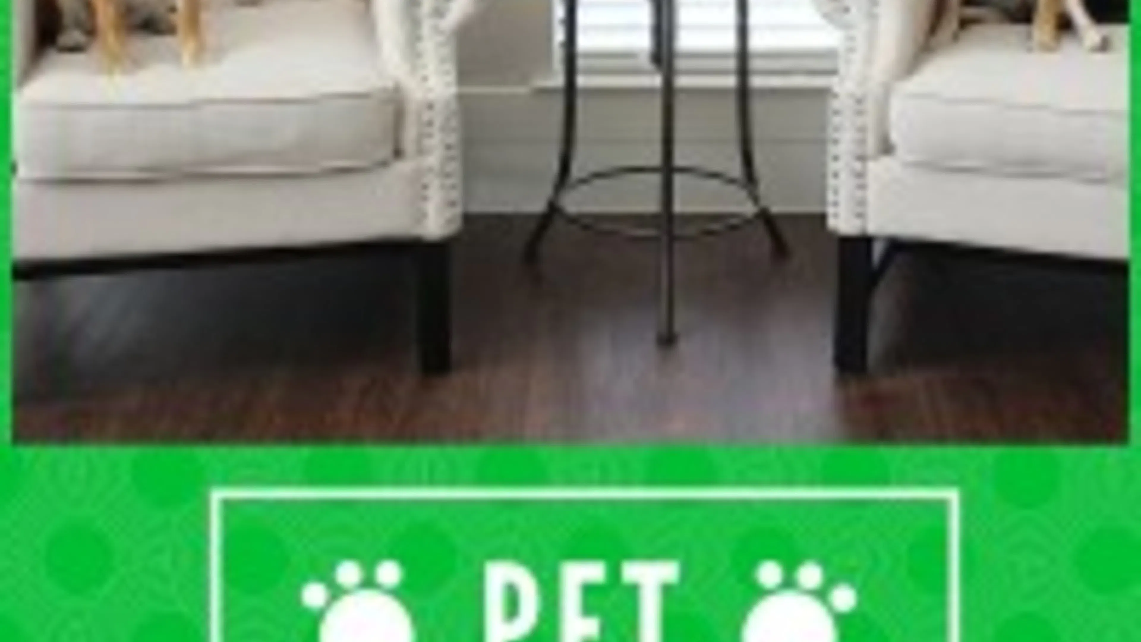 Pet of the Month- Dallas' Kuma and Kenji