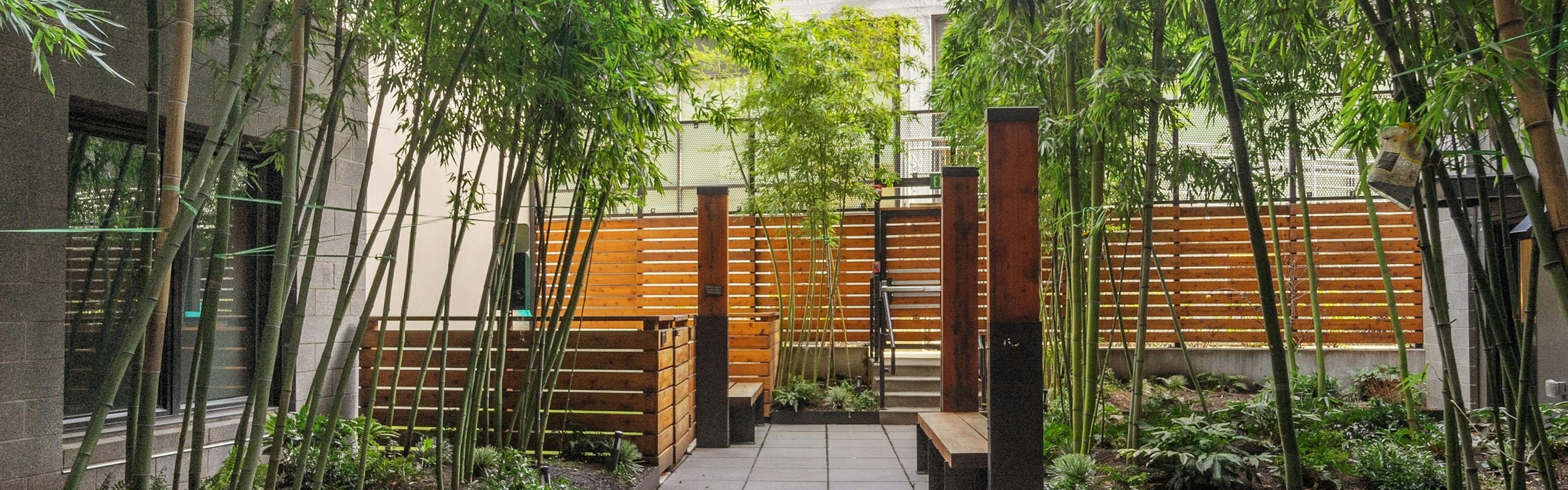 Garden at AMLI South Lake Union with lush green bamboo trees and wooden benches and pillars and horizontal wood slat fence