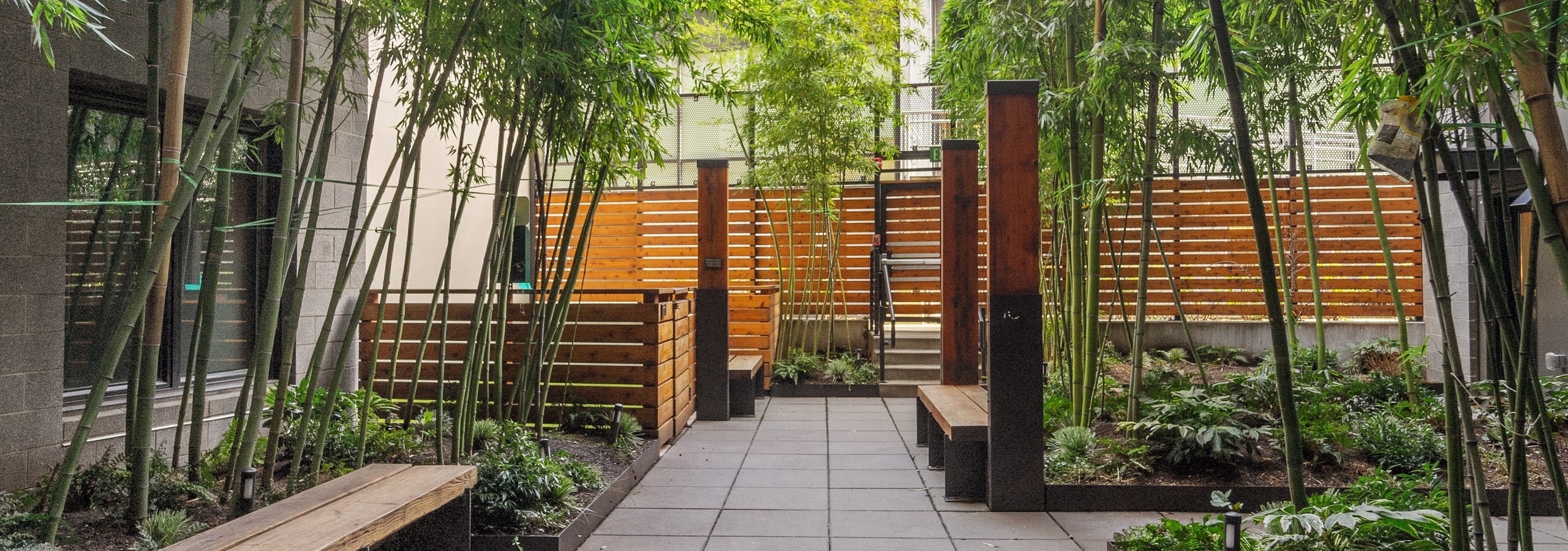 Garden at AMLI South Lake Union with lush green bamboo trees and wooden benches and pillars and horizontal wood slat fence
