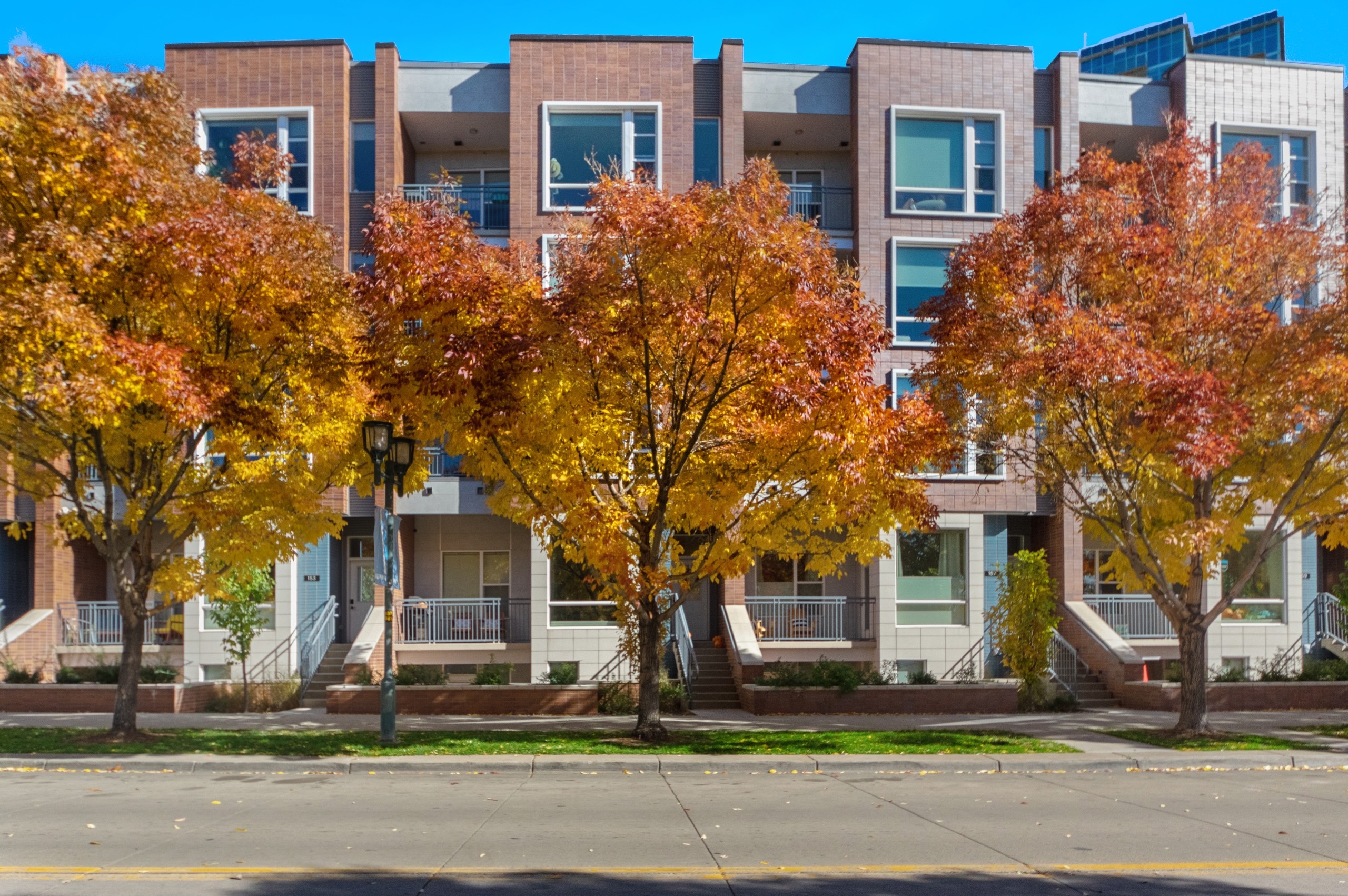 Exterior daytime view of brick AMLI Riverfront Green townhomes with autumn trees lining sidewalk in front of building