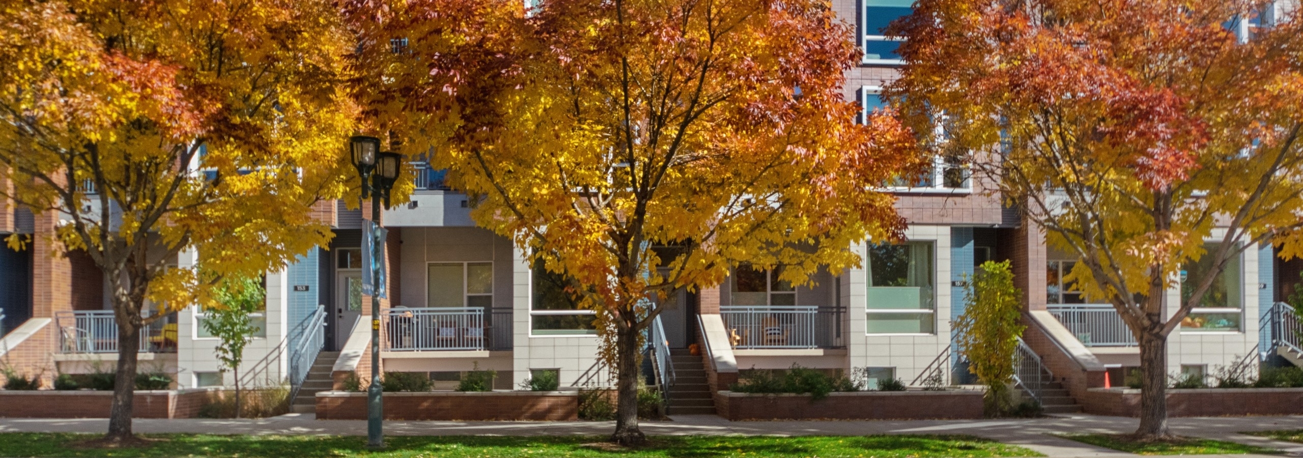 Exterior daytime view of brick AMLI Riverfront Green townhomes with autumn trees lining sidewalk in front of building