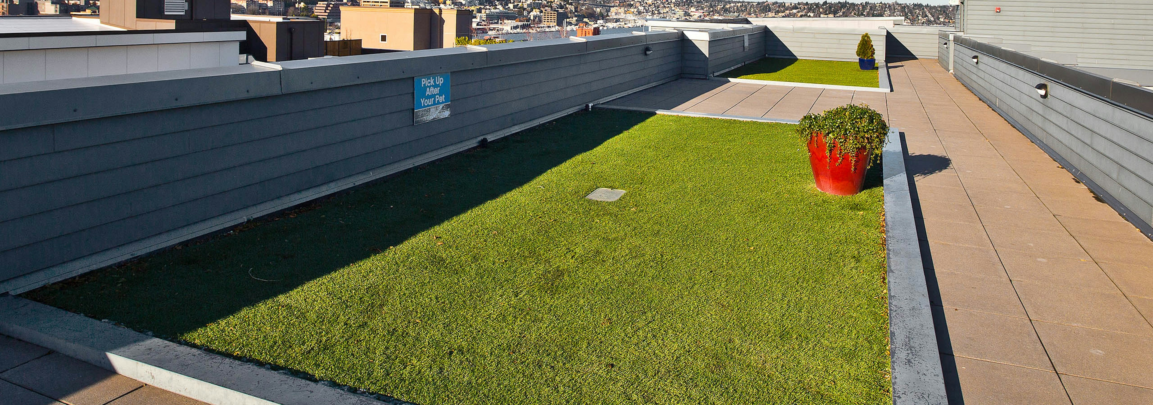 Daytime view of AMLI 535 per-friendly community rooftop deck with pet run and views of South Lake Union