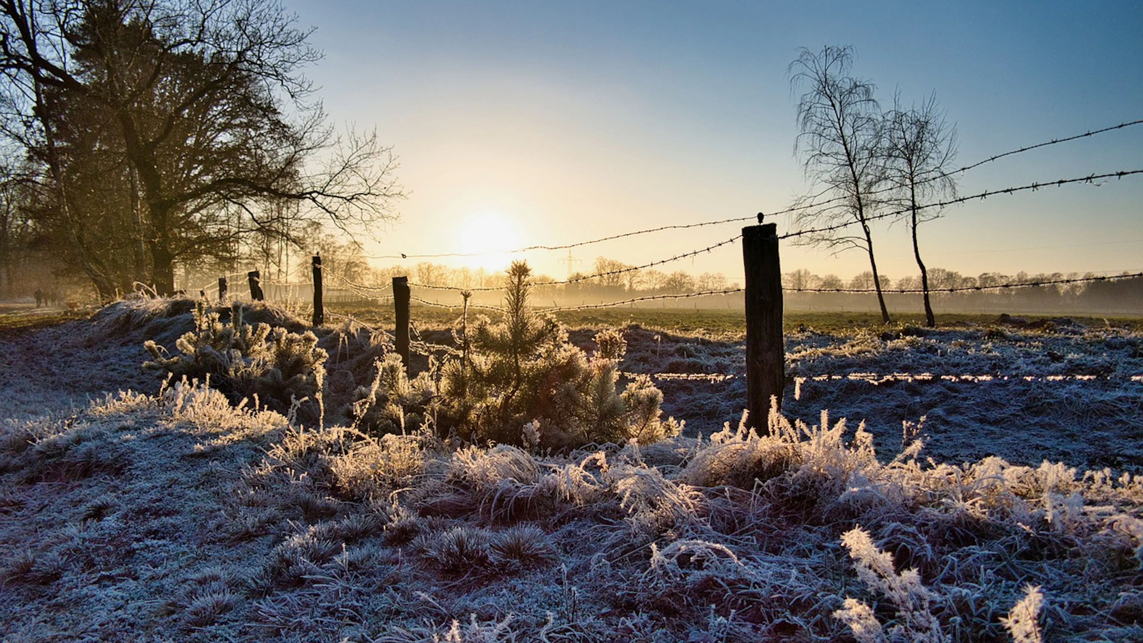 A barbed wire fence with wooden fenceposts set against the sunrise on an icy and frosty day