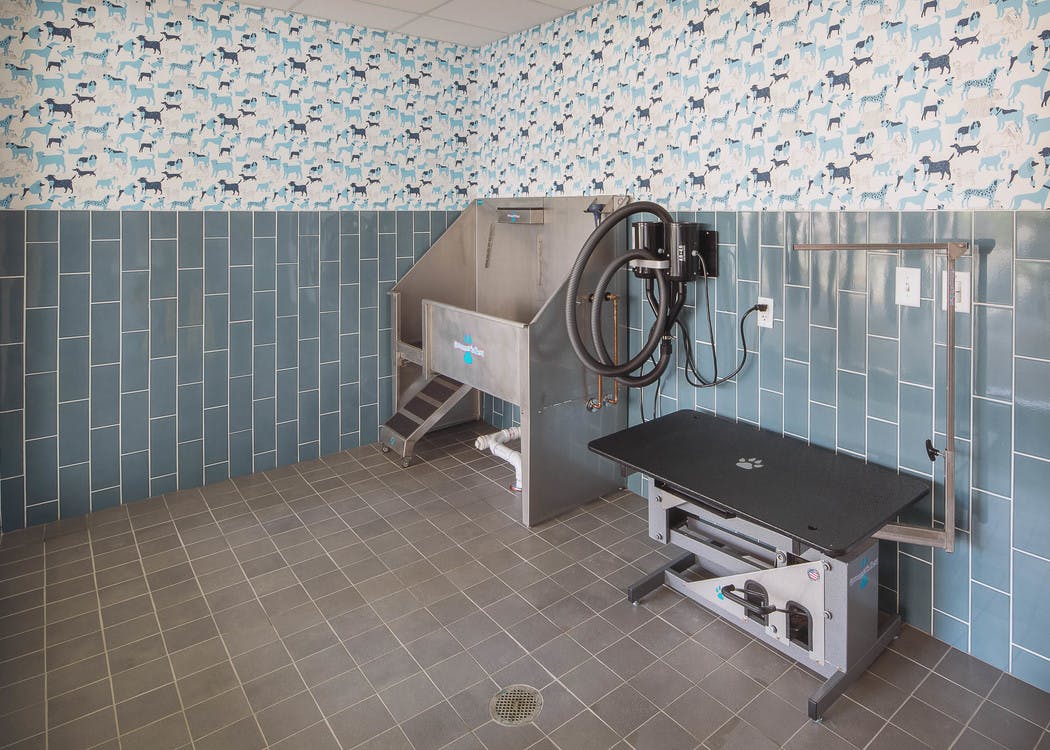 Paw wash at AMLI Arts Center with blue tile on the lower portion of the walls and a deep stainless steel sink with pet table