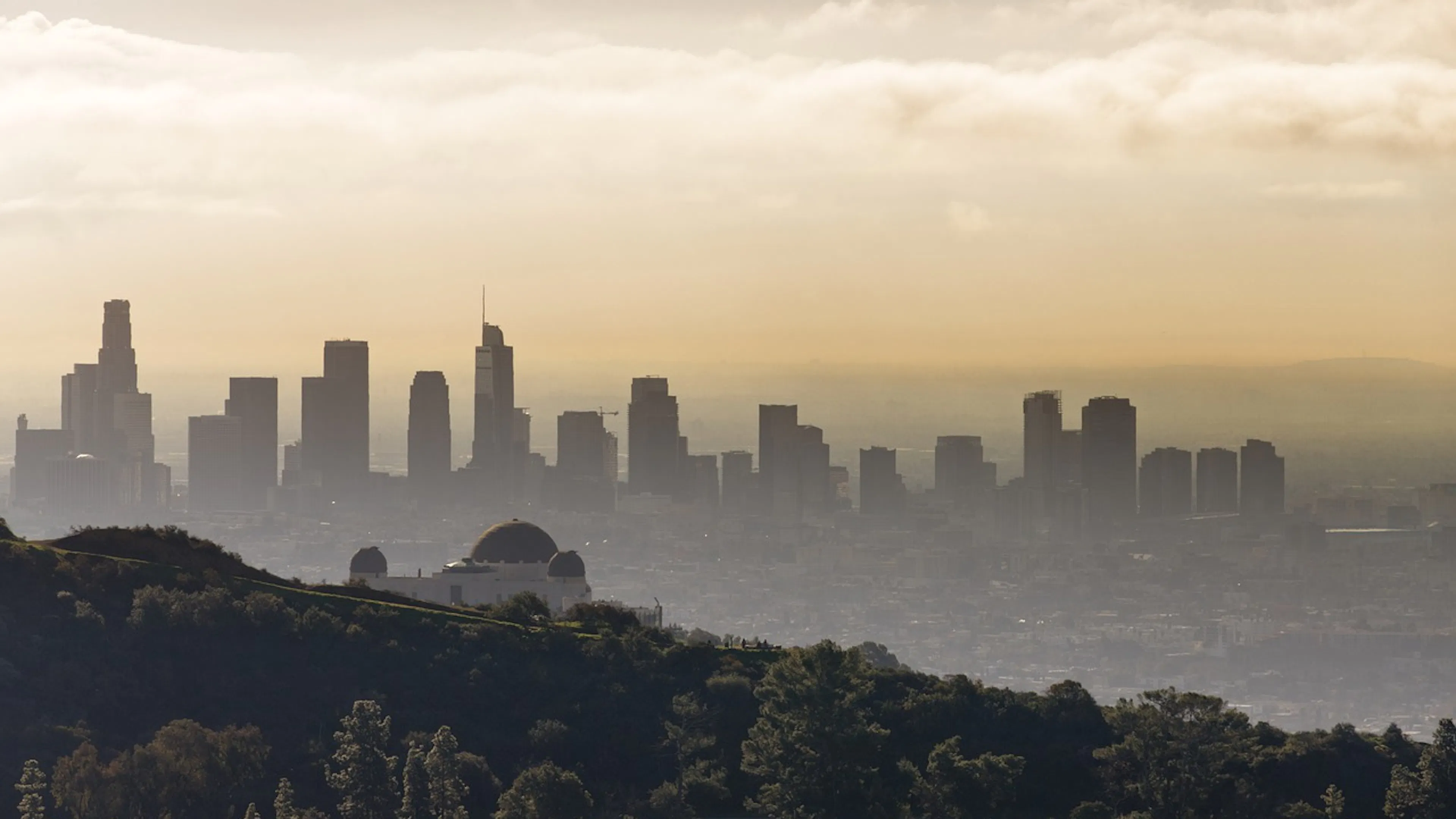 The Griffith Observatory observed from a distant hillside with the skyline of Los Angeles in the background