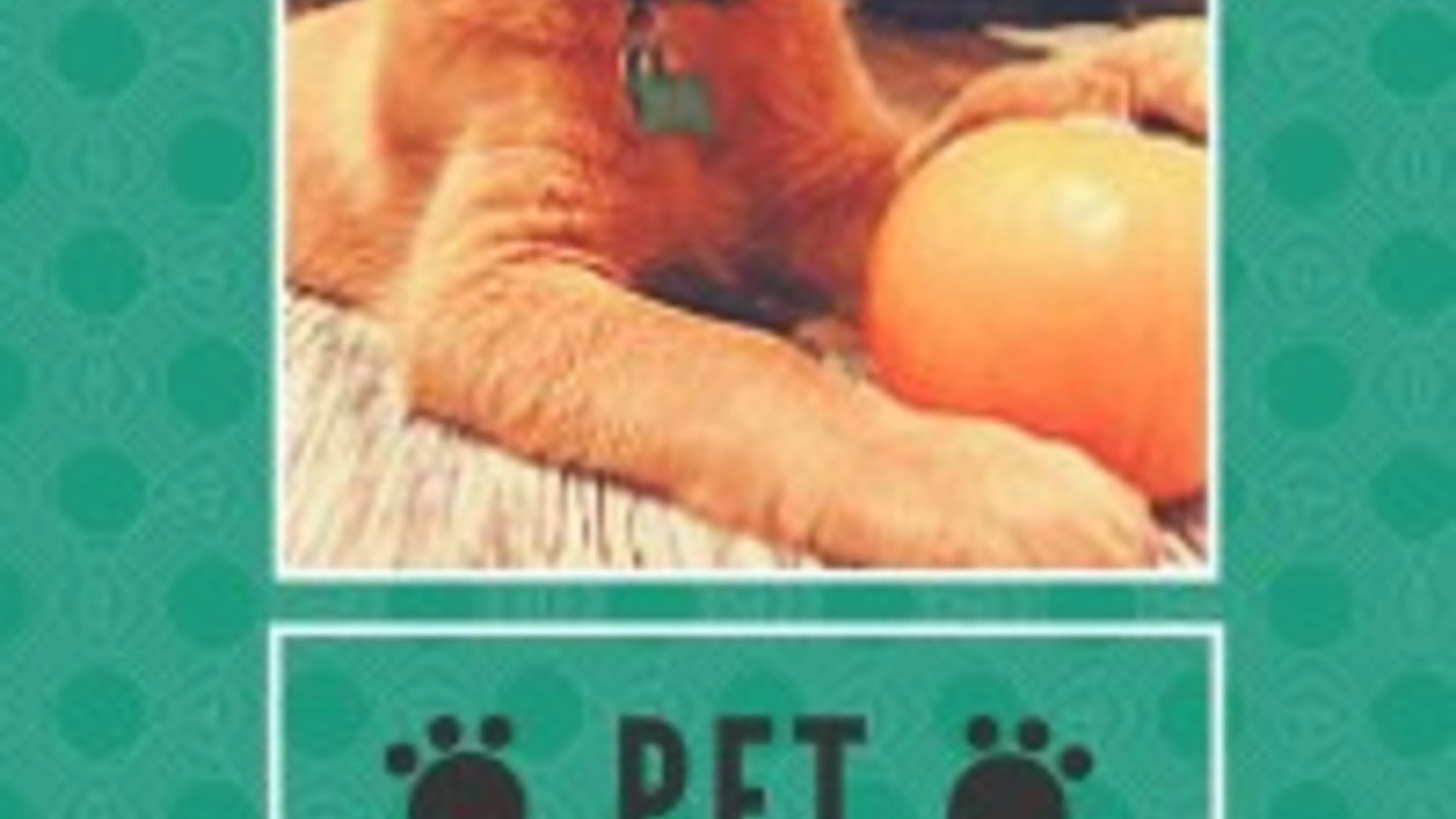 Pet of the Month- Beau