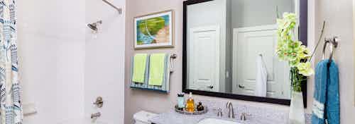 A bathroom at AMLI Riverfront Park apartments with a view the shower and a gray counter top with sink and a large mirror