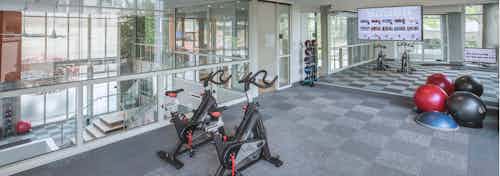 Fitness center at AMLI Arts Center with exercise balls and large wall mirror with glass walls overlooking downstairs area