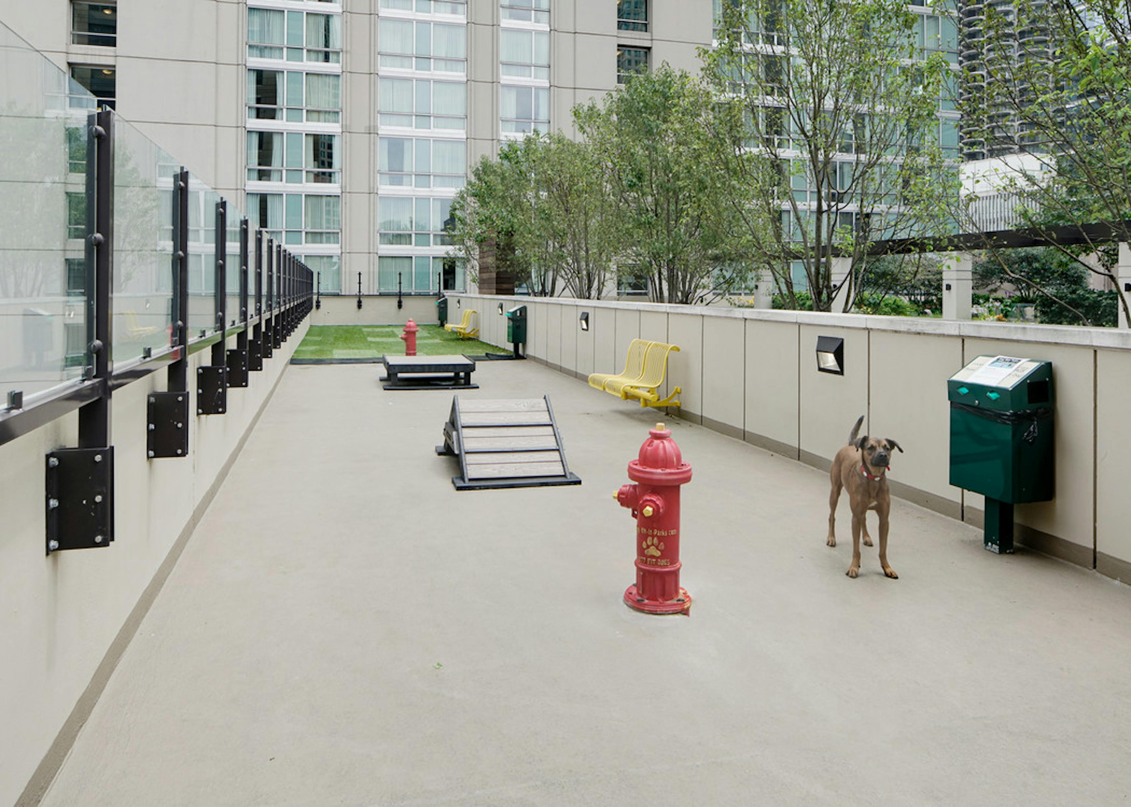 Dog park at AMLI River North with artificial sod grass in the back and enclosed free space with a few obstacles for pet play