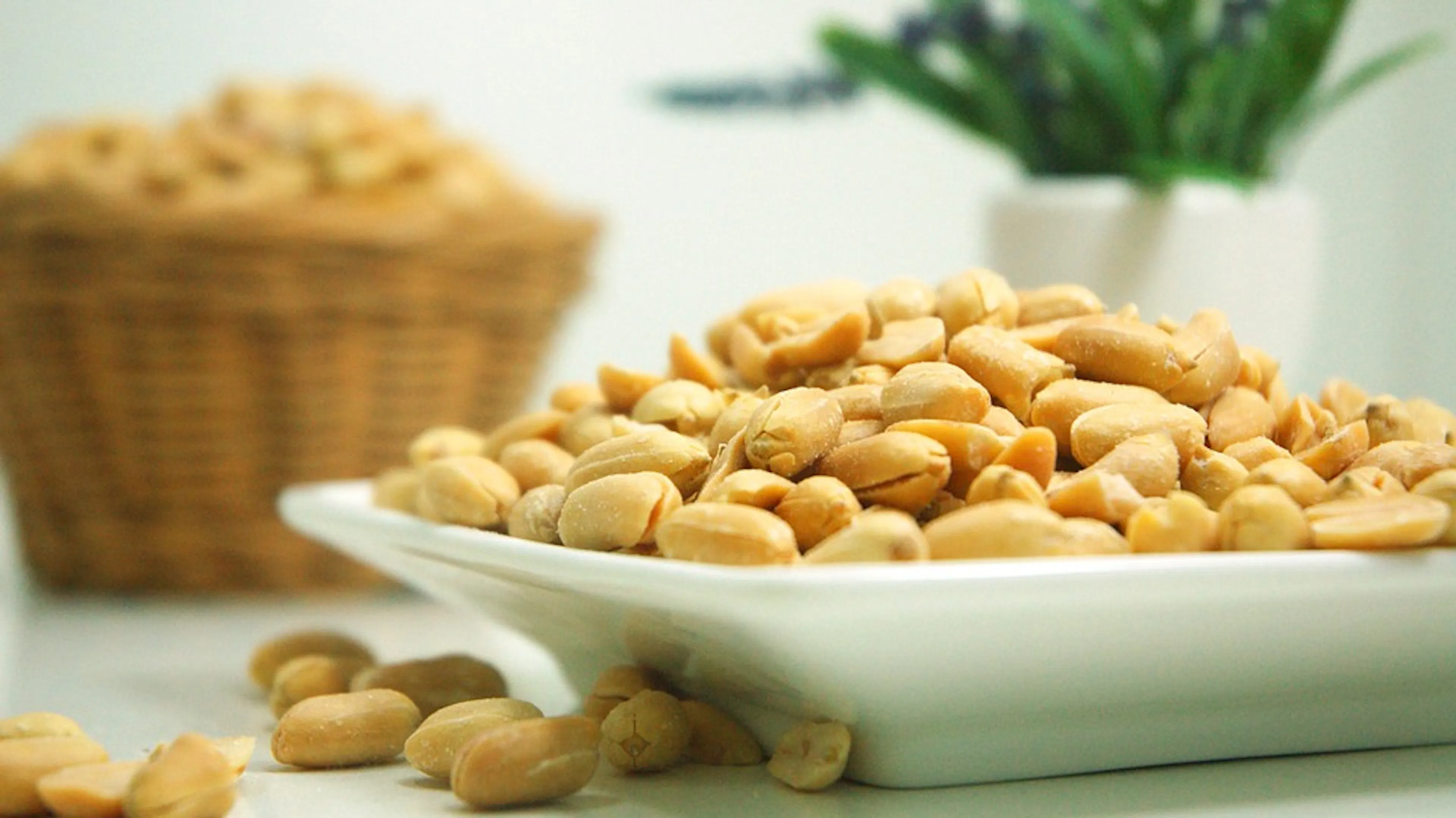 A small white plate filled with a pile of shelled peanuts with a basket of peanuts in the background