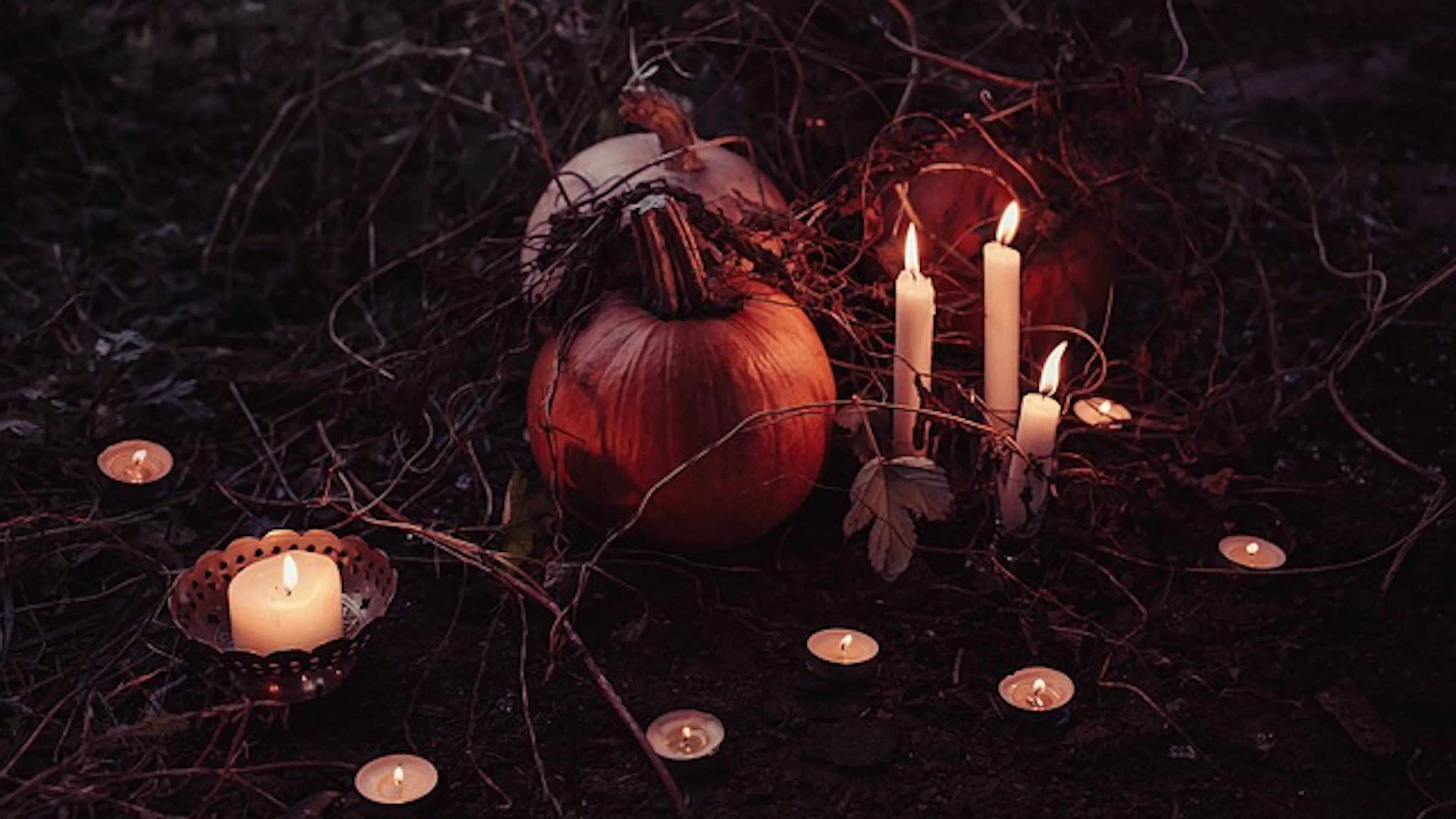 A small pumpkin surrounded by small tea light candles and dried vines