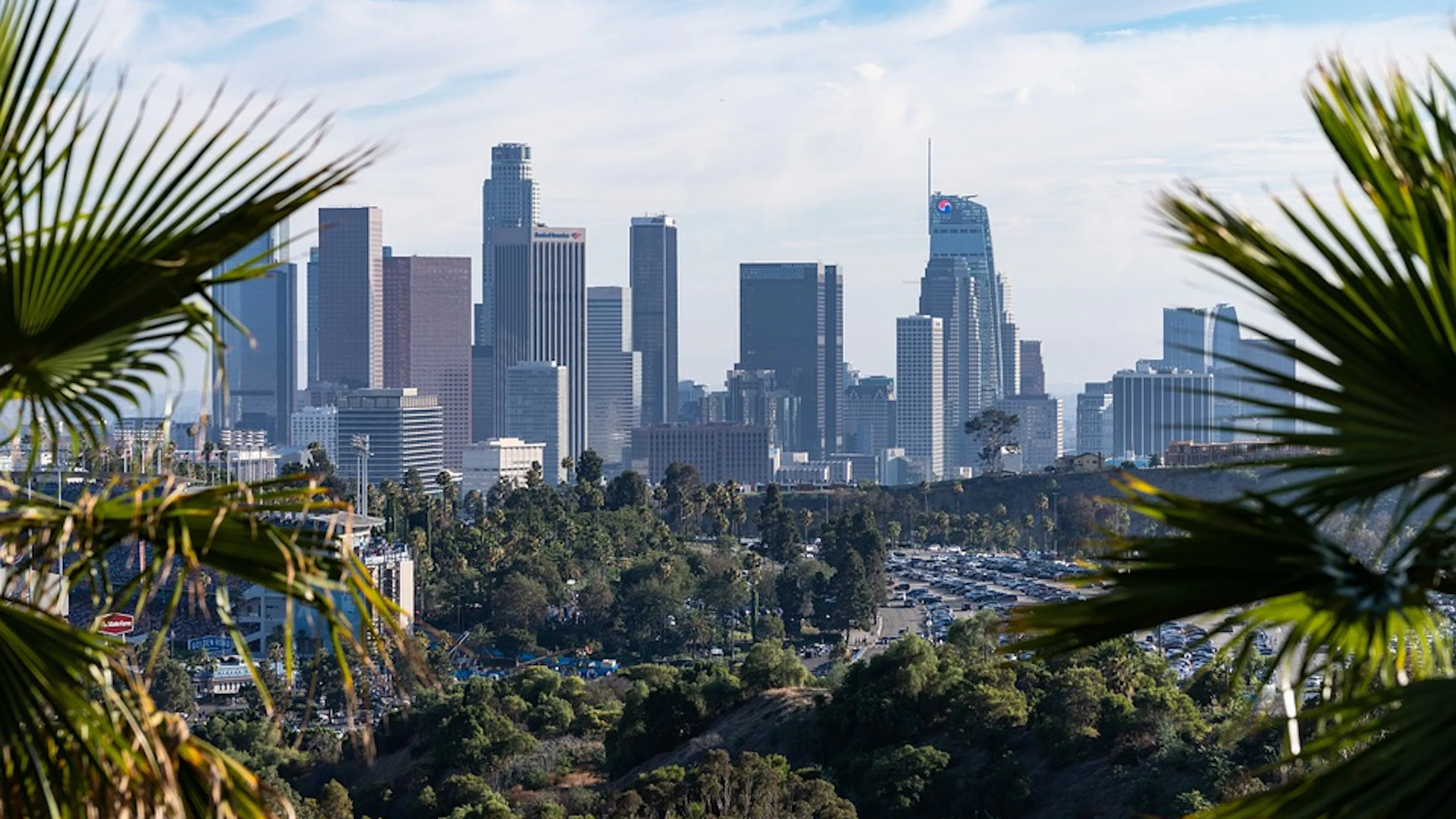 The Los Angeles downtown skyline behind a pair of palm trees