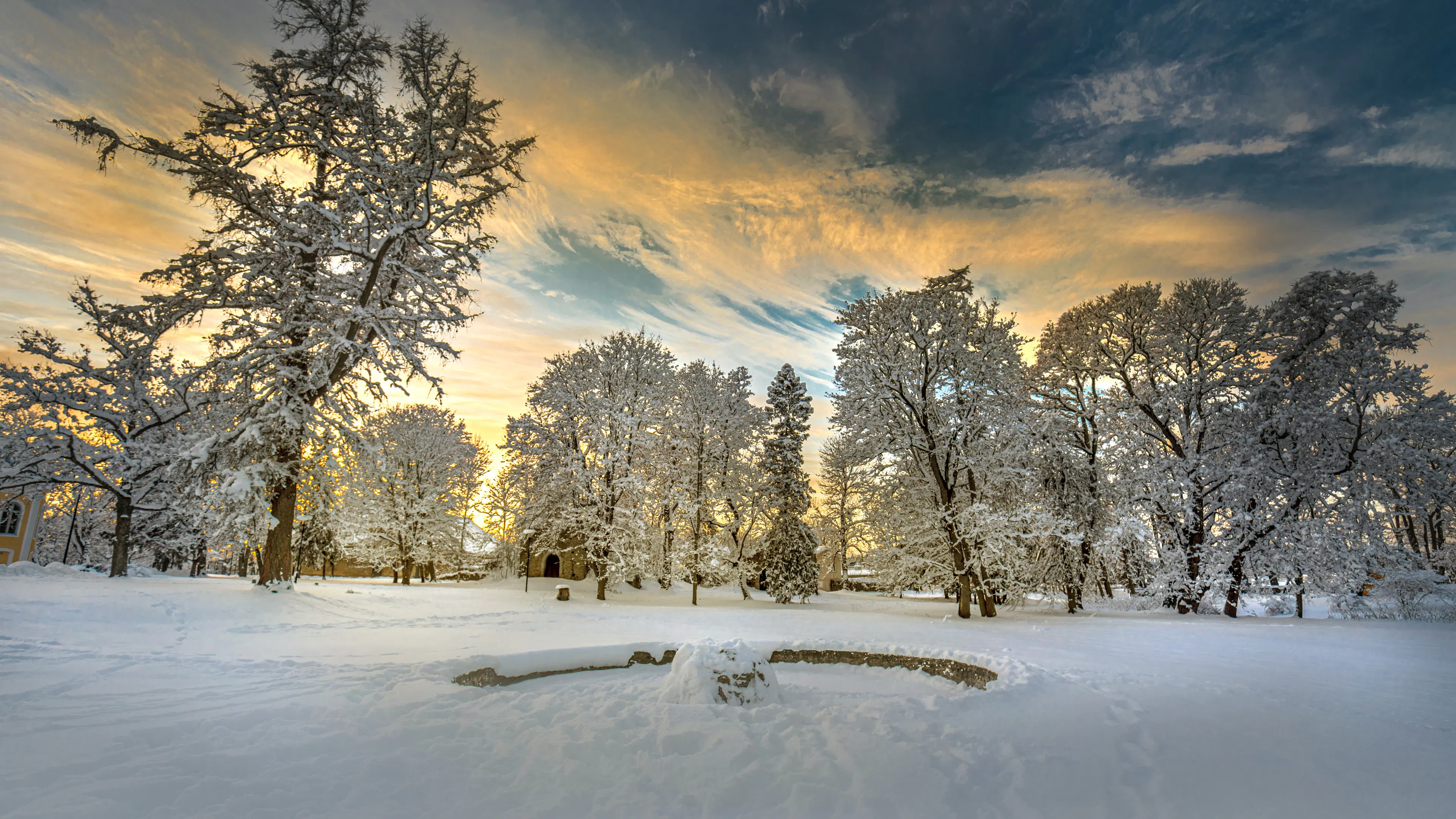 A wide shot of a snow covered field with trees in the background silhouetted by the setting sun 