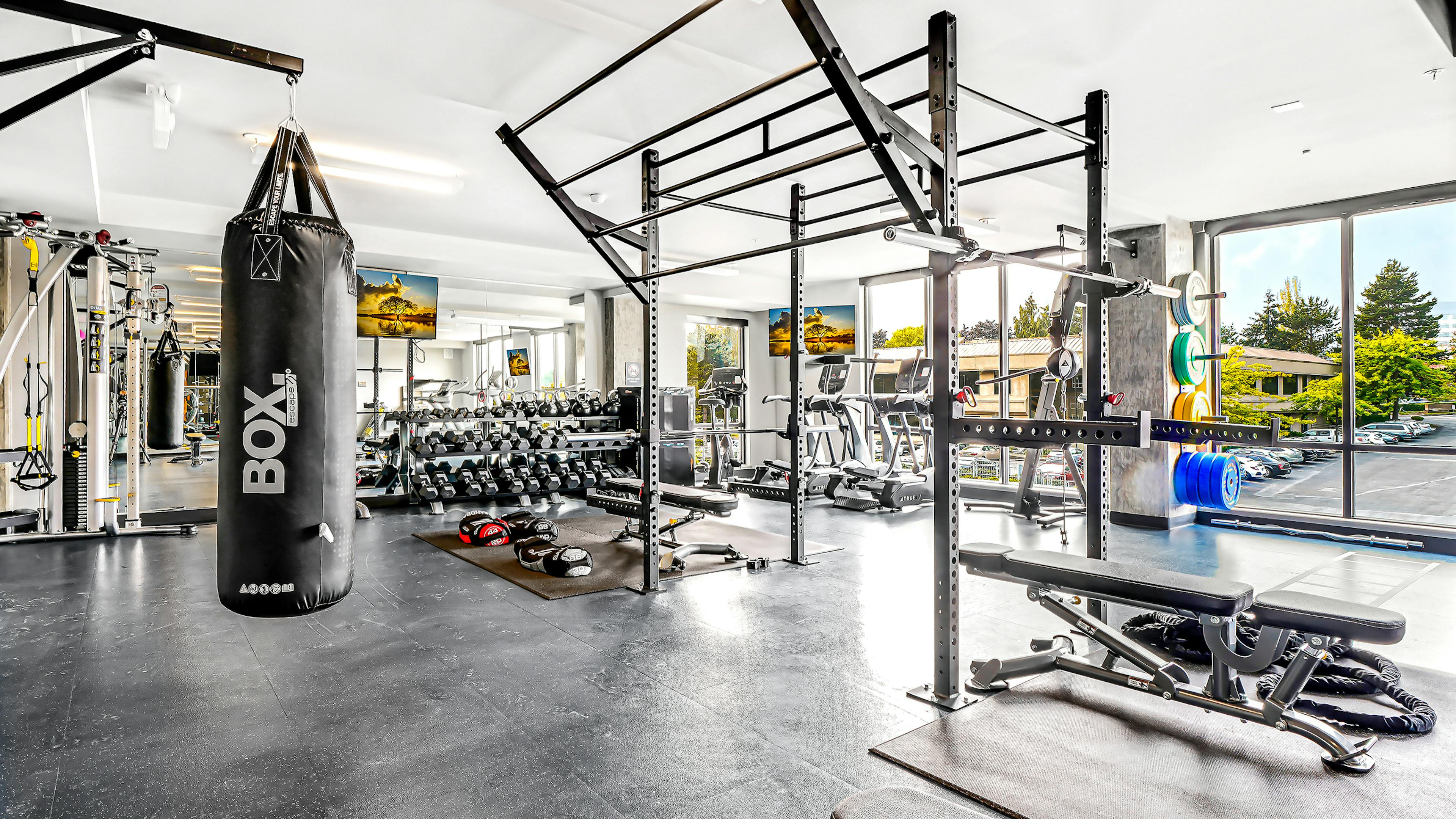 AMLI Spring District fitness center with floor to ceiling windows and punching bag and free weights and exercise equipment