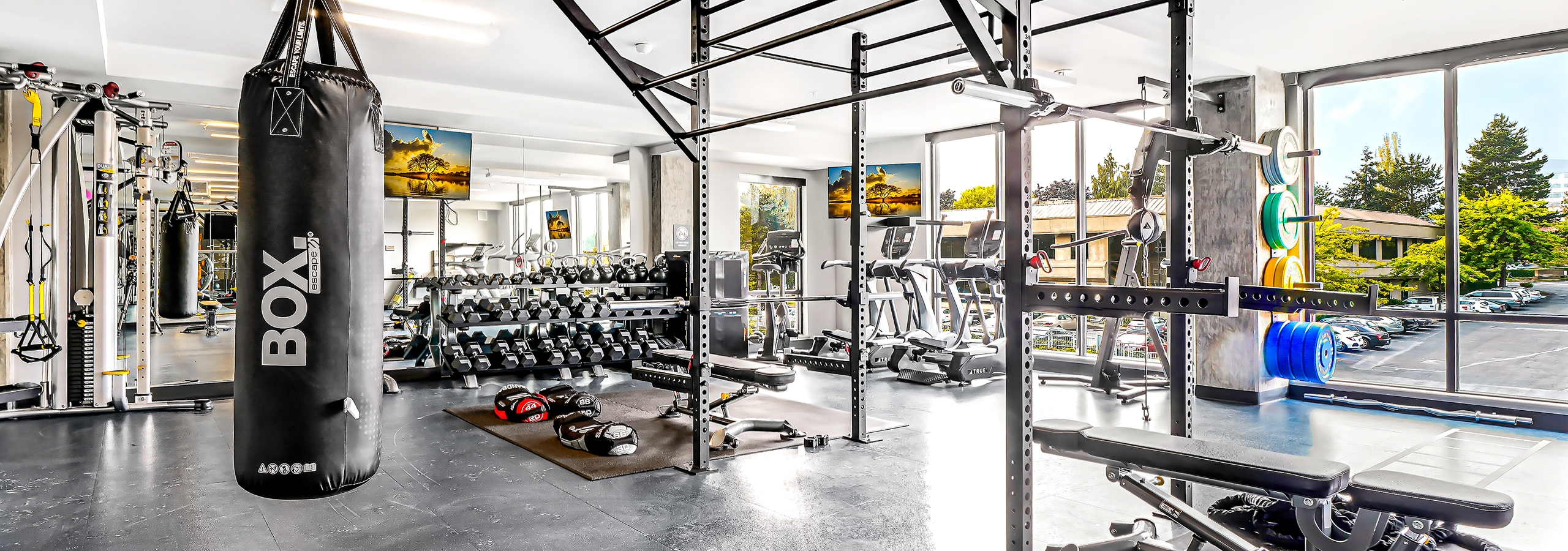 AMLI Spring District fitness center with floor to ceiling windows and punching bag and free weights and exercise equipment