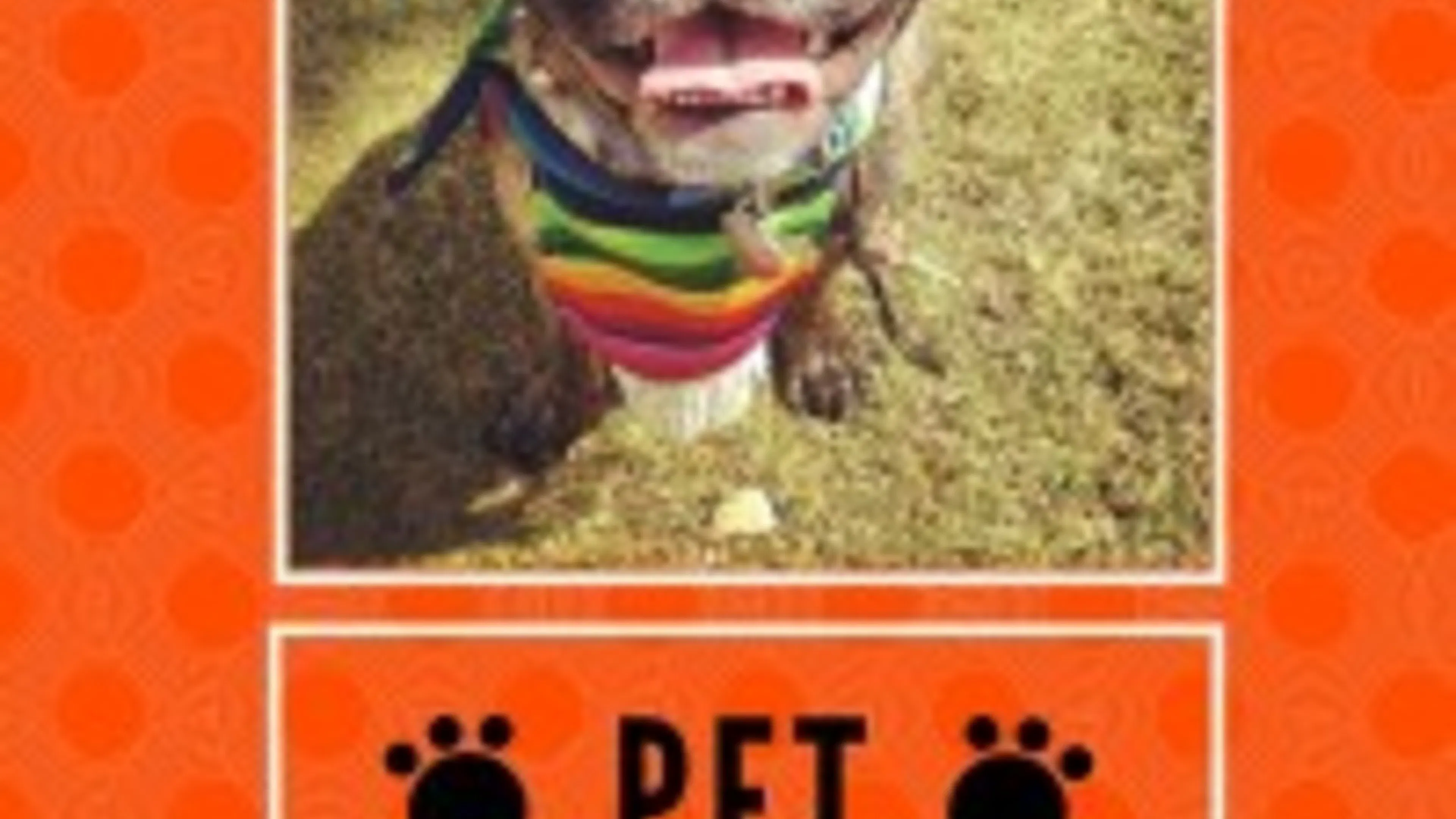 Pet of the Month: Atlanta's Taco Tuesday Aficionado Andre