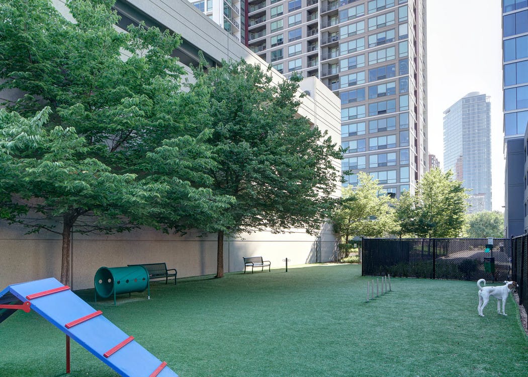 An exterior view of the pet park at AMLI 900 which contains artificial turf and multiple objects for pets to jump and play on