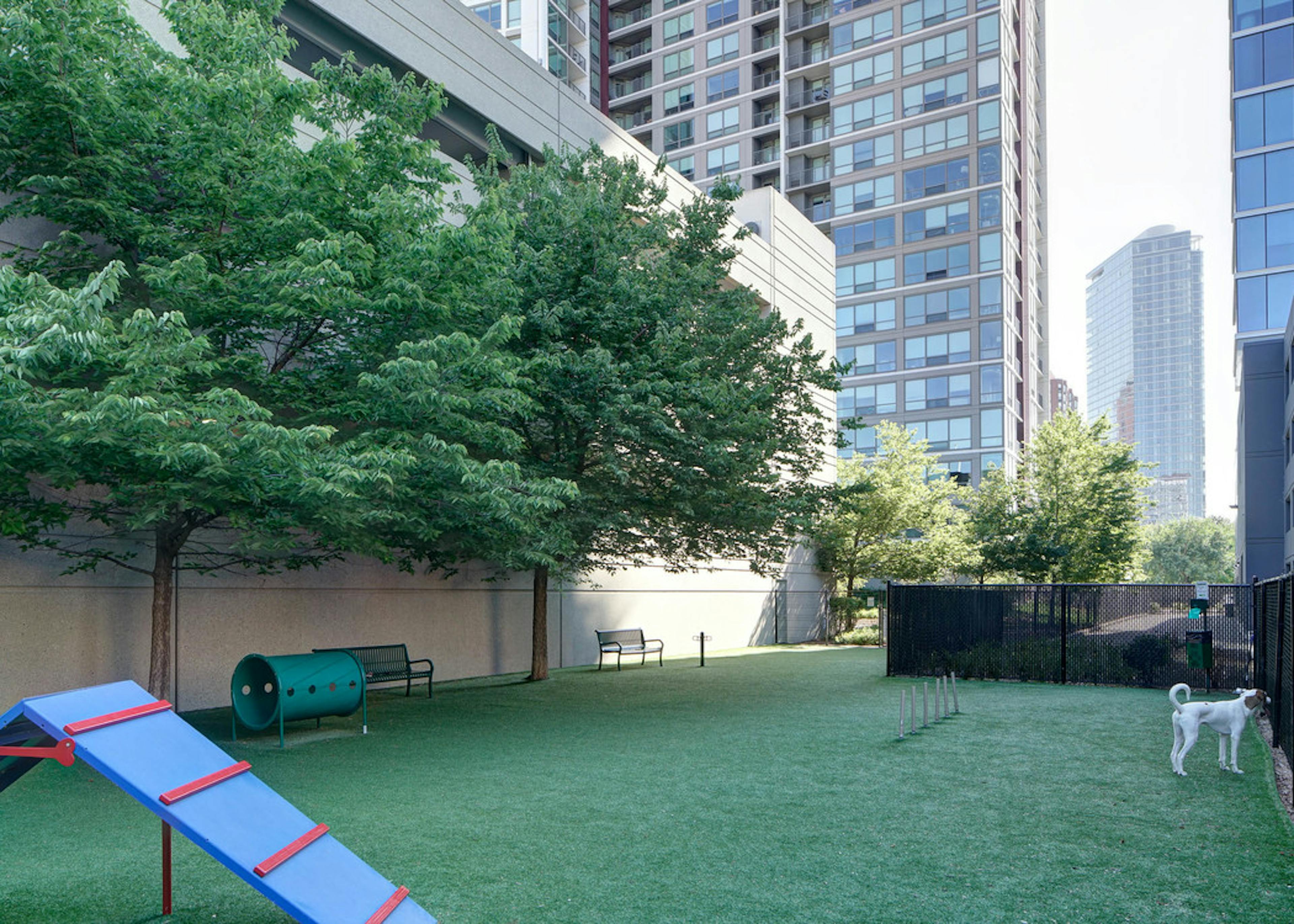 An exterior view of the pet park at AMLI 900 which contains artificial turf and multiple objects for pets to jump and play on