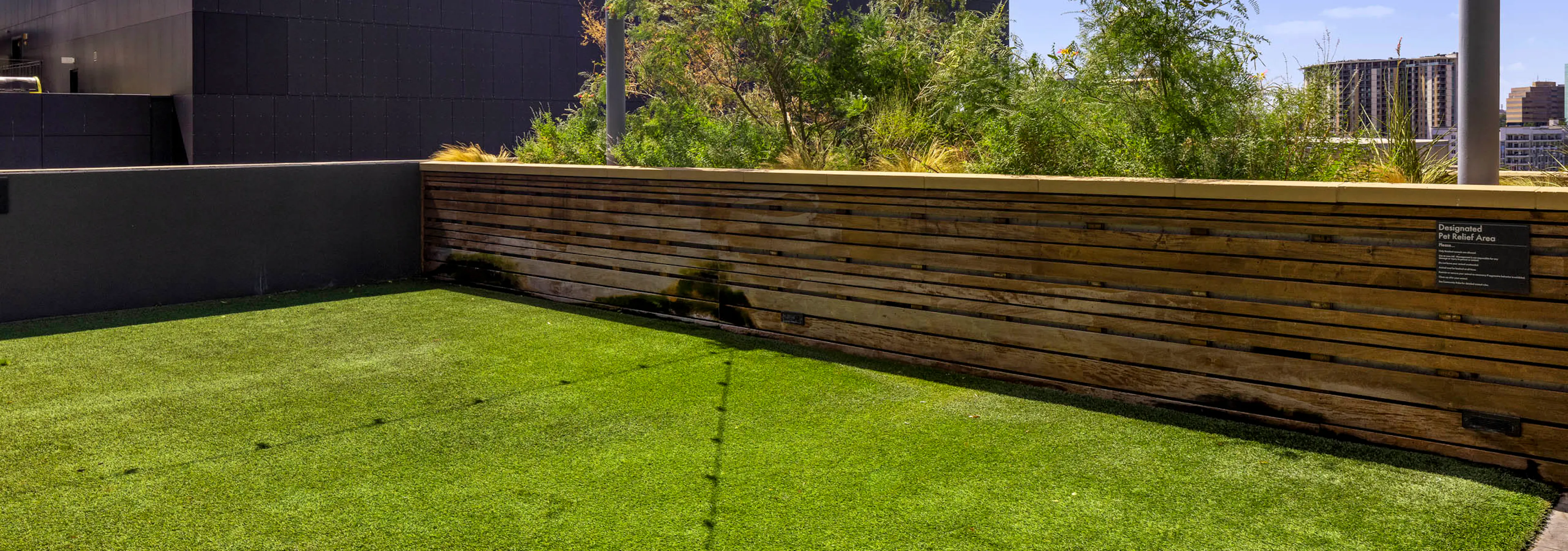 Daytime view of rooftop pet park at AMLI on 2nd with string lights and grass with half wall overlooking city and trees 