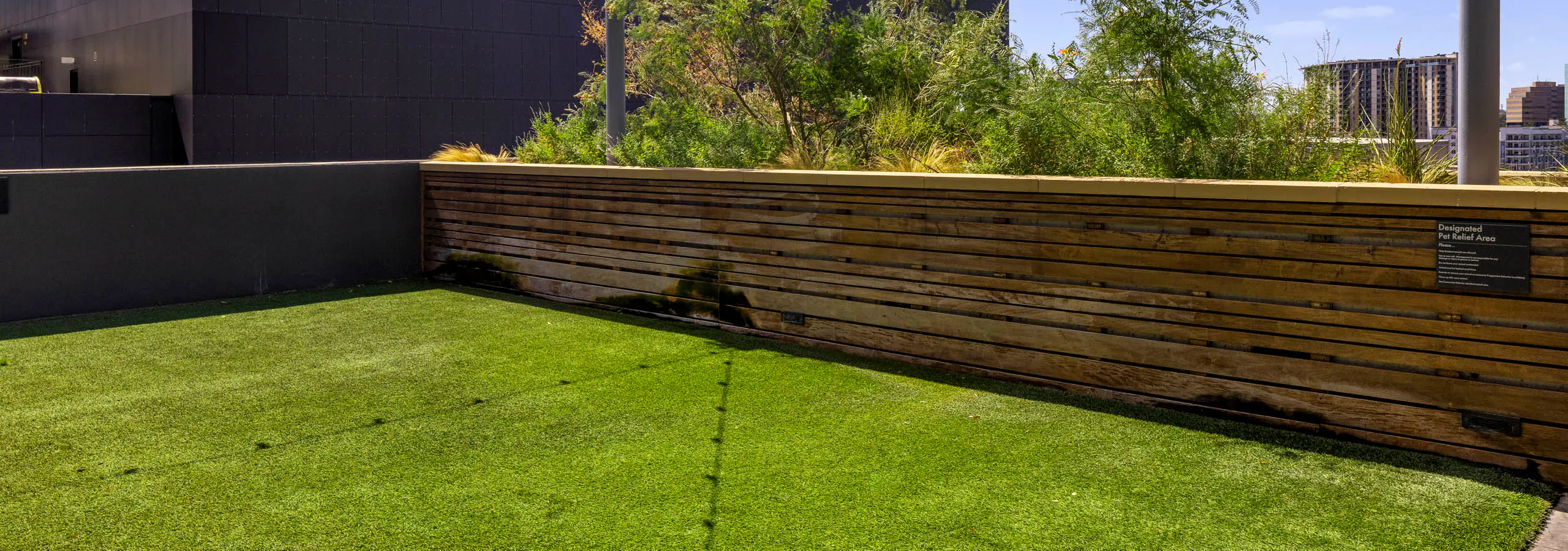 Daytime view of rooftop pet park at AMLI on 2nd with string lights and grass with half wall overlooking city and trees