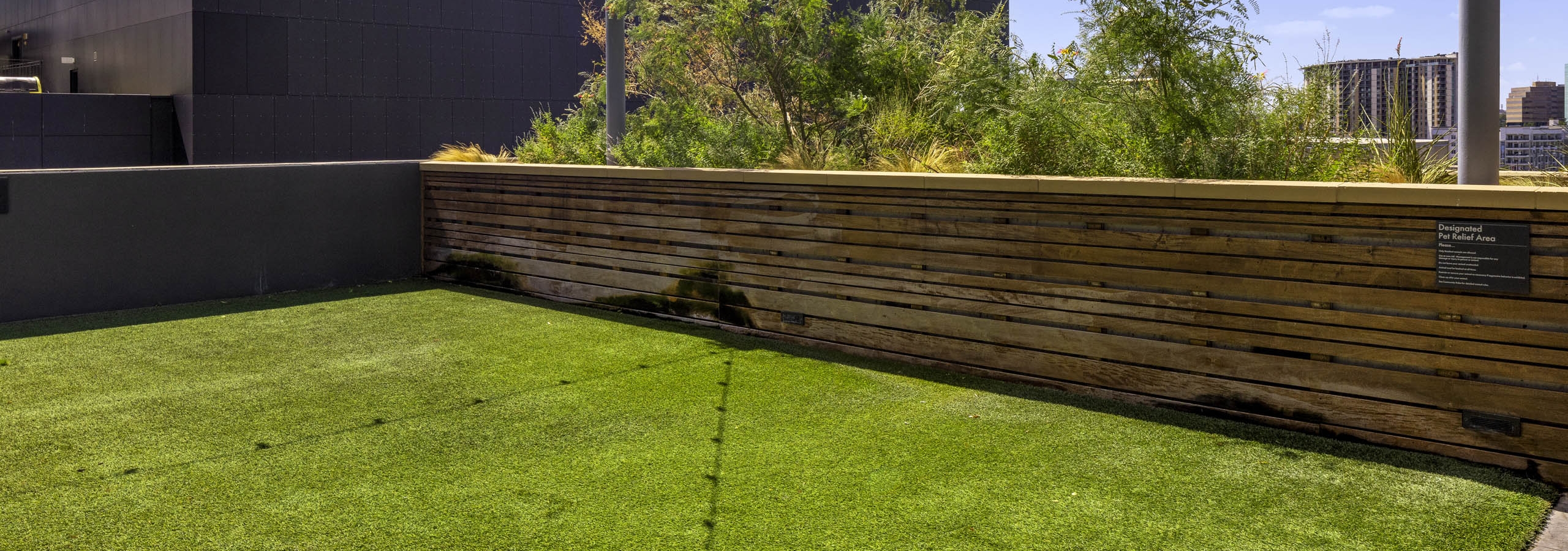 Daytime view of rooftop pet park at AMLI on 2nd with string lights and grass with half wall overlooking city and trees