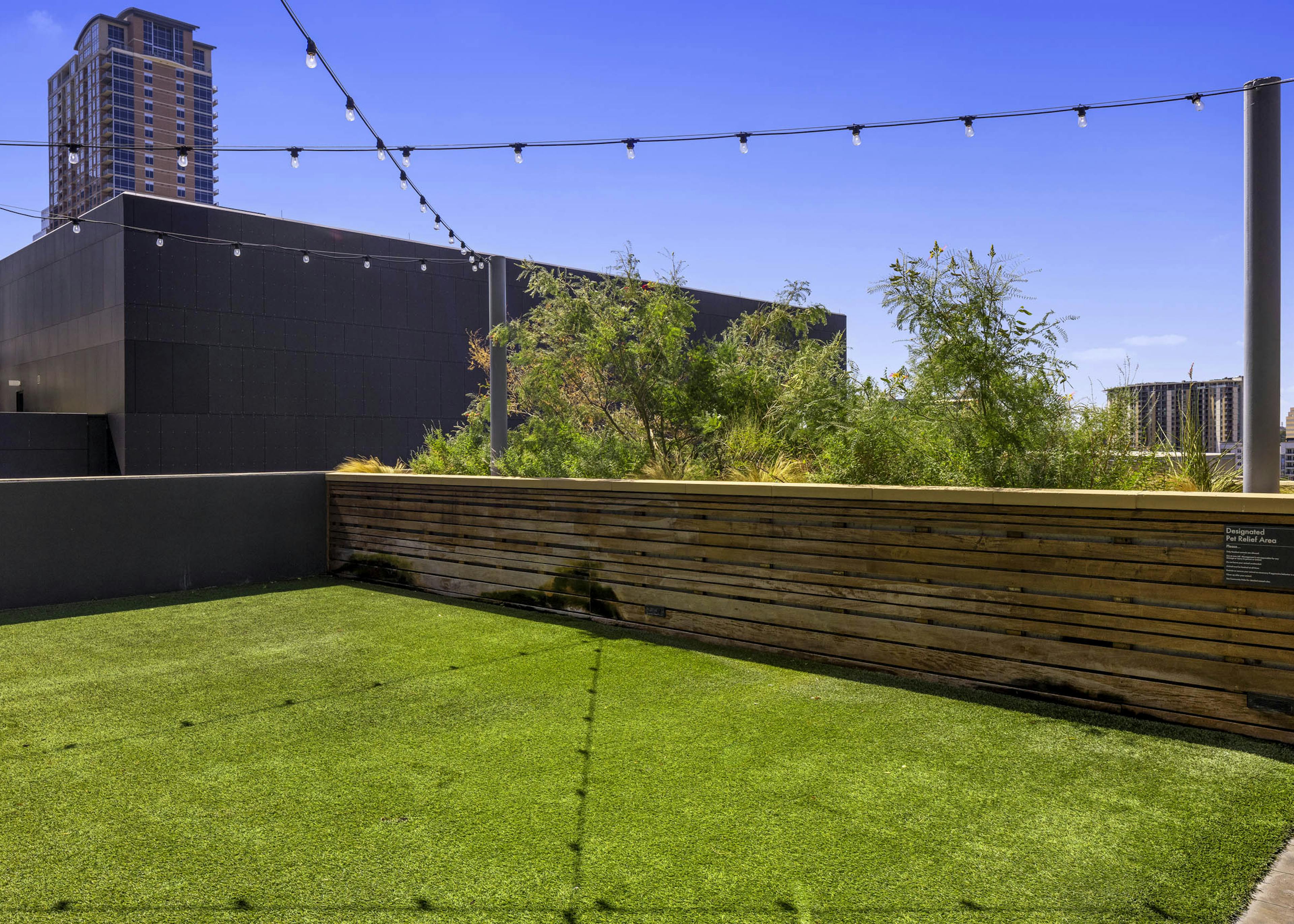 Daytime view of rooftop pet park at AMLI on 2nd with string lights and grass with half wall overlooking city and trees 