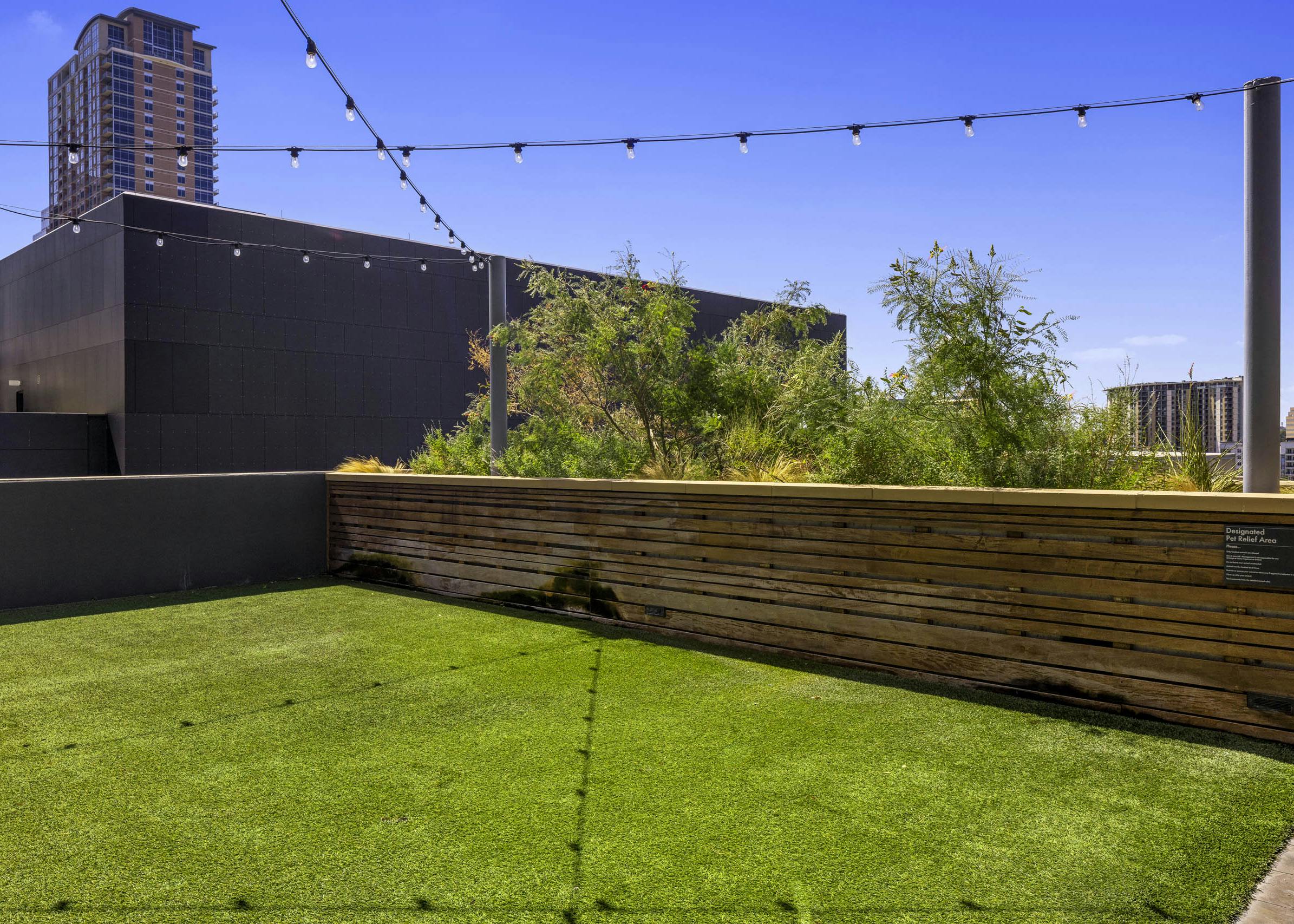 Daytime view of rooftop pet park at AMLI on 2nd with string lights and grass with half wall overlooking city and trees