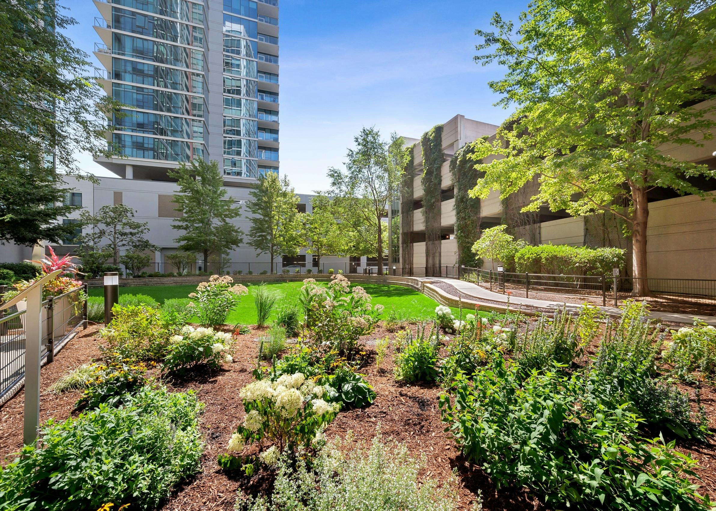 Resident garden and pollinator habitat of AMLI 900 apartment building surrounded by garage and building